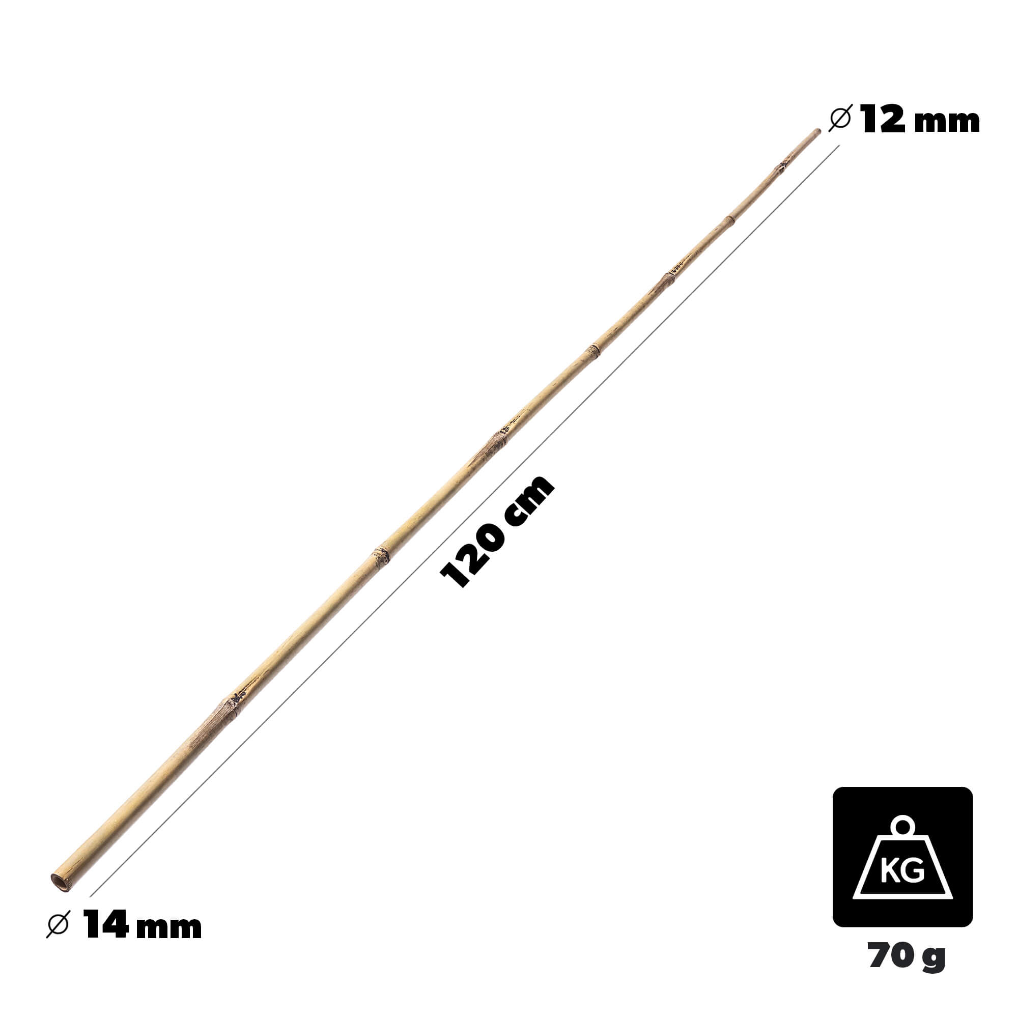 Bambusowa podpora ogrodowa Rai 120 cm x 12-14 mm 1 szt.