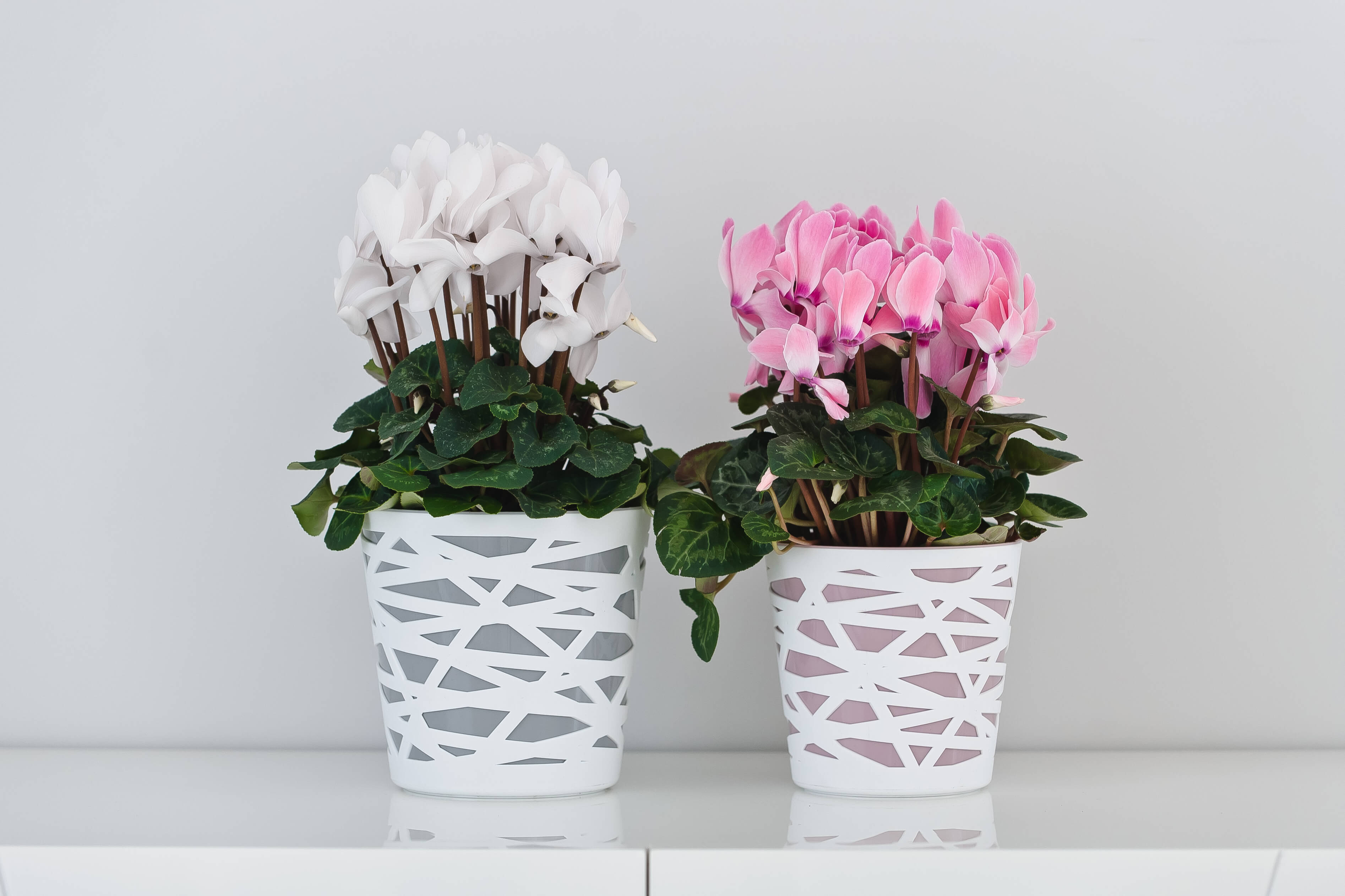 Doniczka z wkładem Rusio 19 cm, różowa