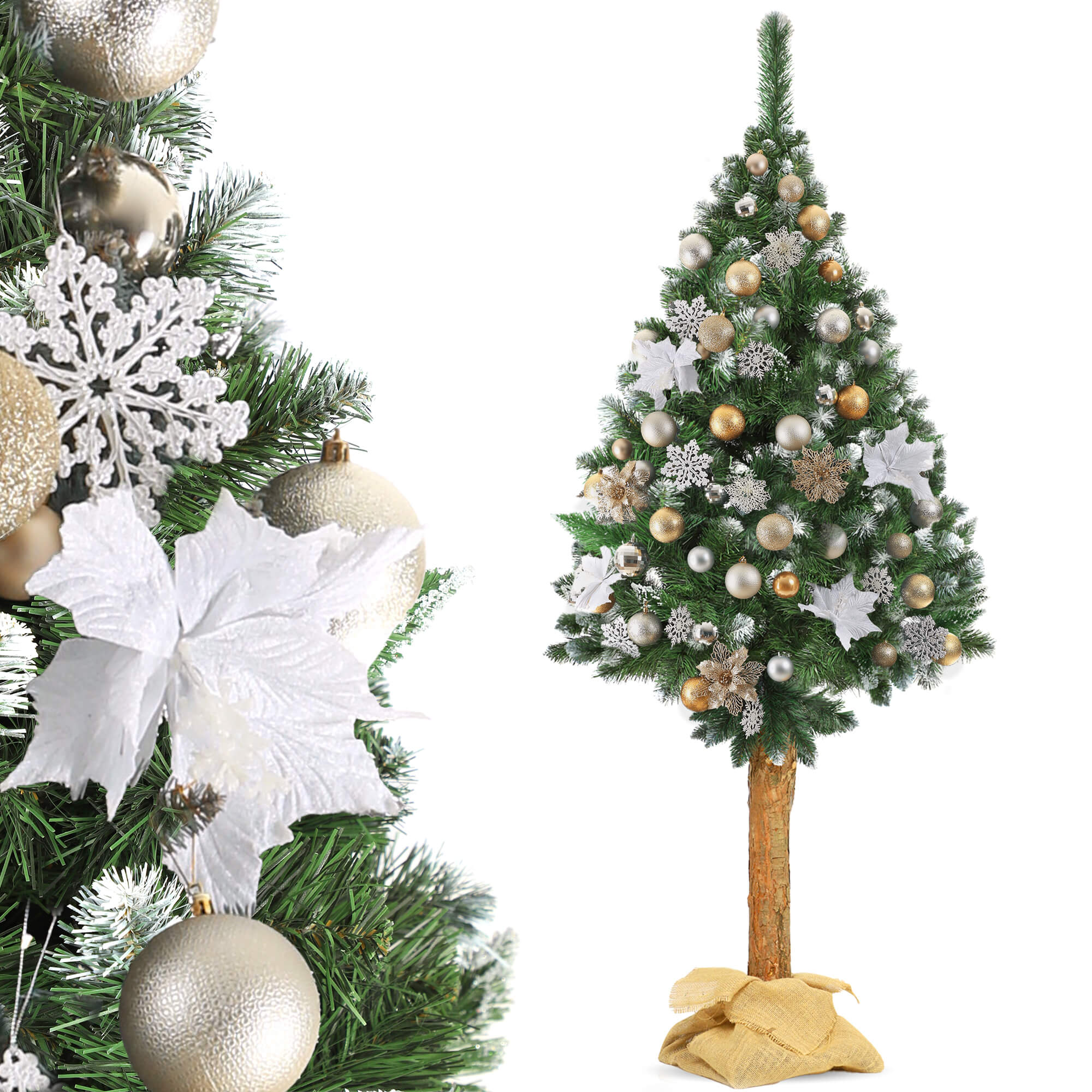 Choinka na pniu sosna diamentowa Roana 220 cm