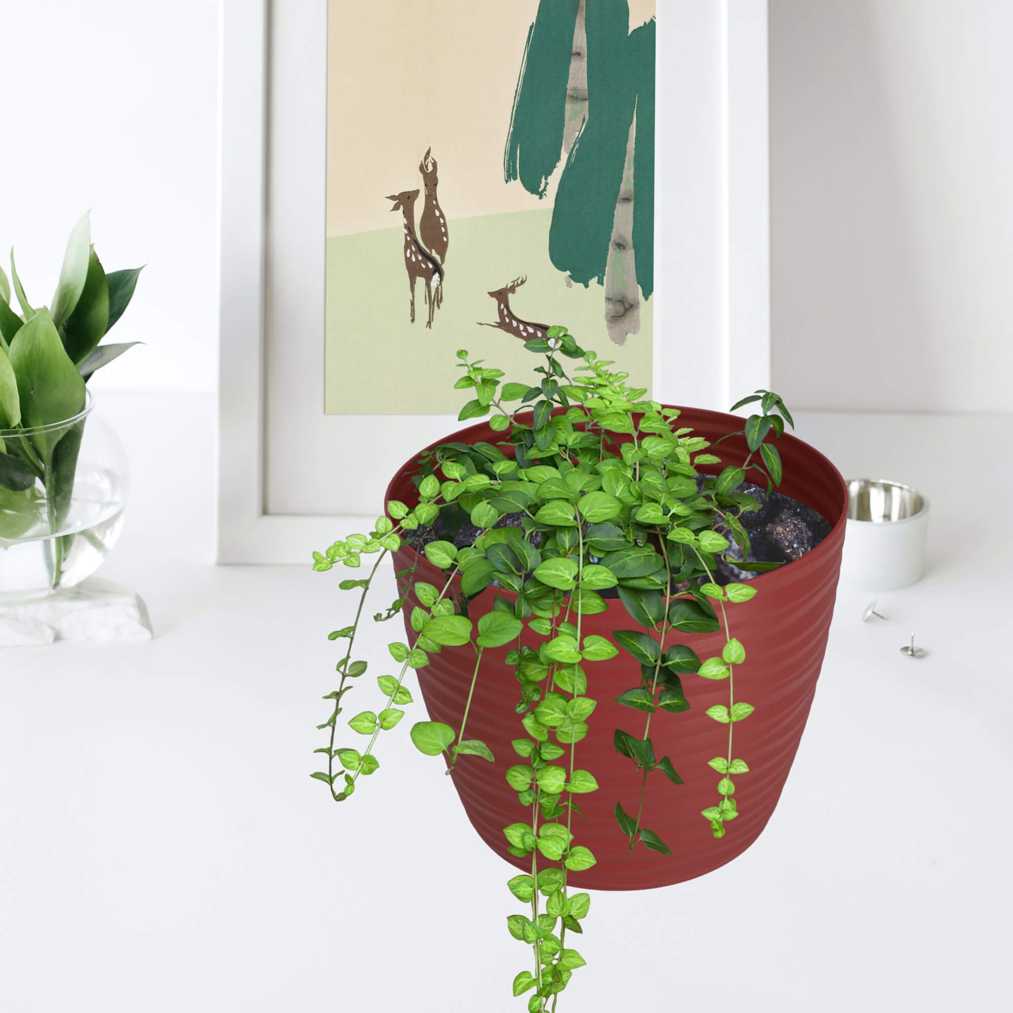 Doniczka na kwiaty okrągła z podstawką 15 cm, bordowa