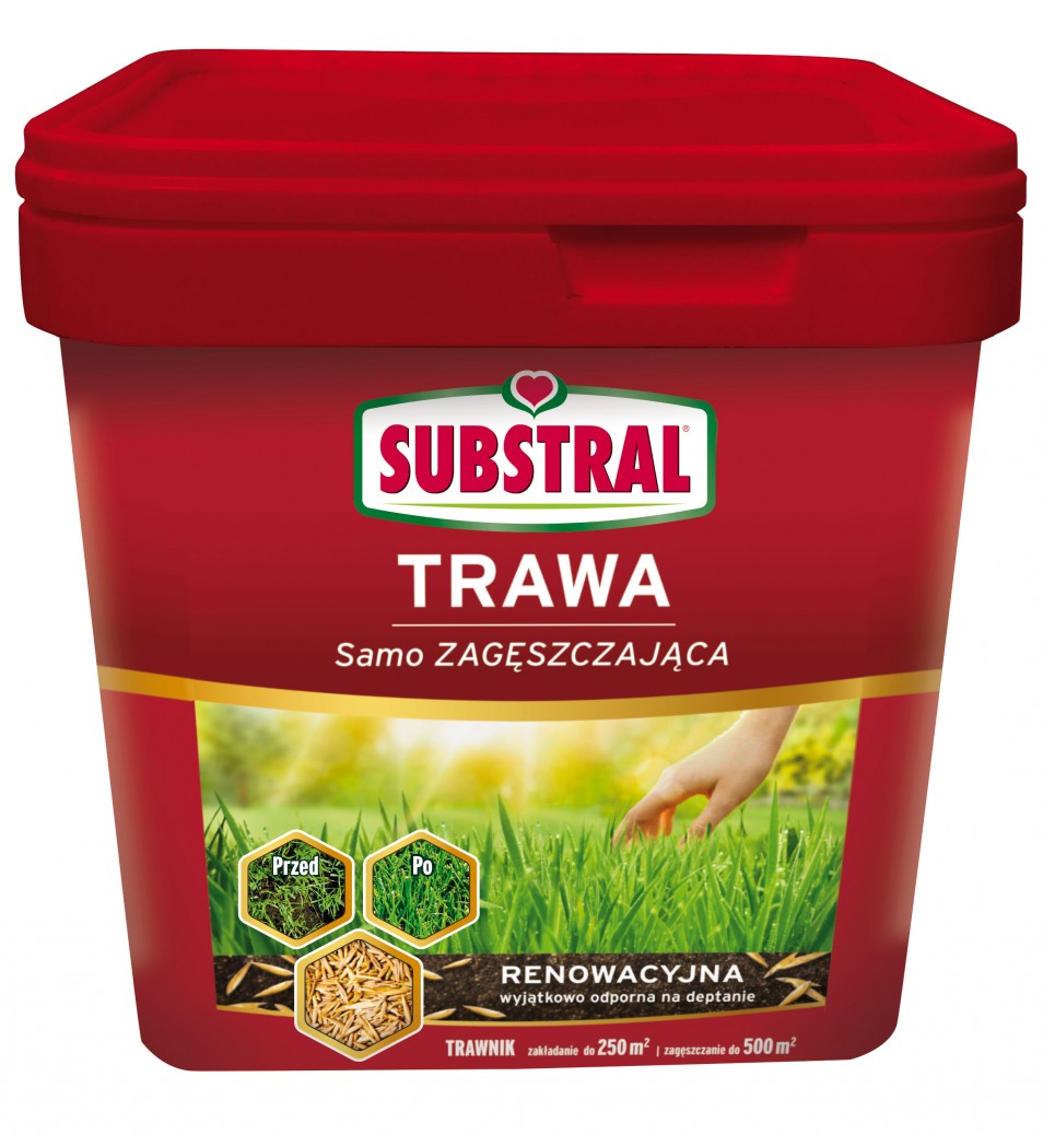 Substral Trawa samozagęszczająca renowacyjna 5 kg