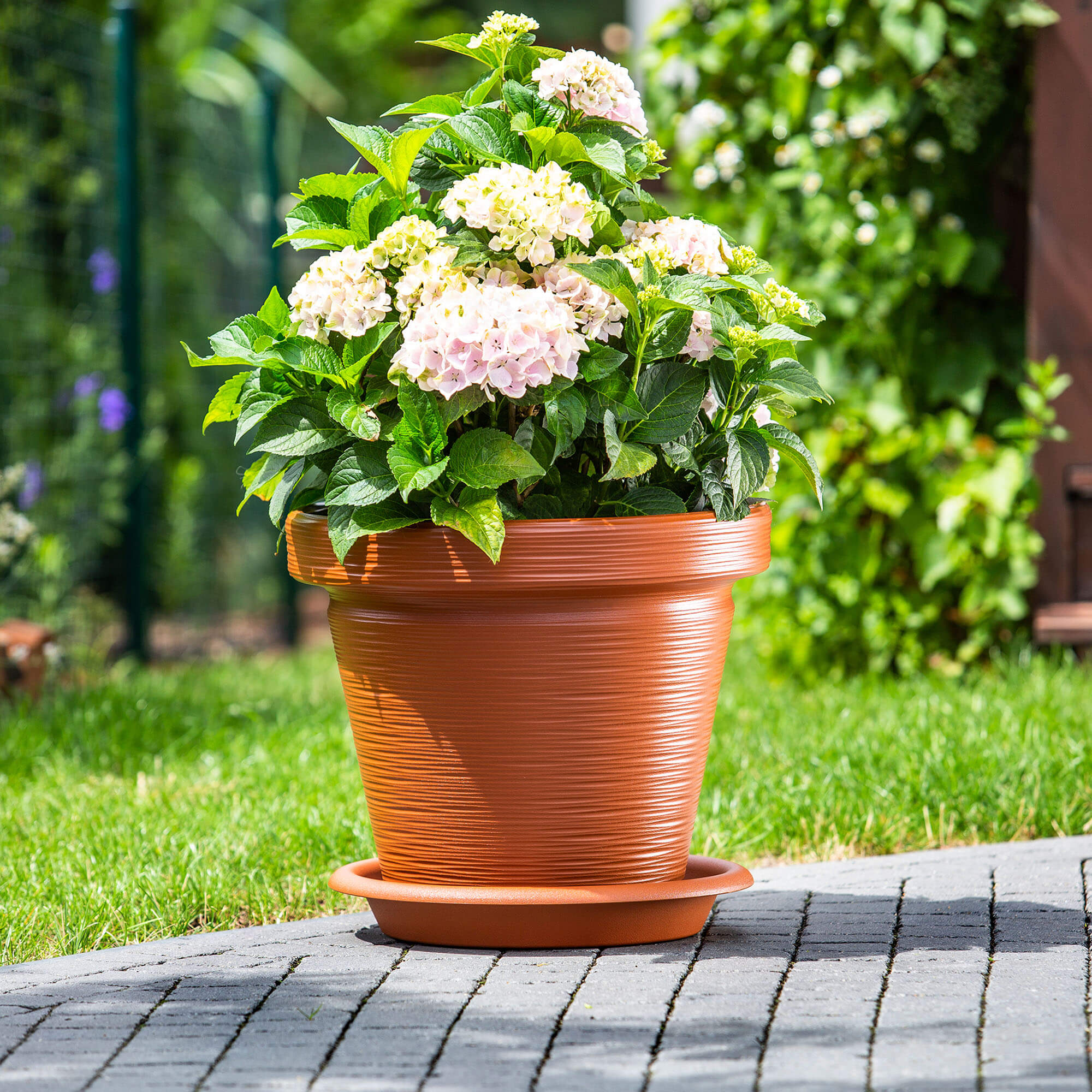 Donica z podstawką Cieza 55 cm, terrakota