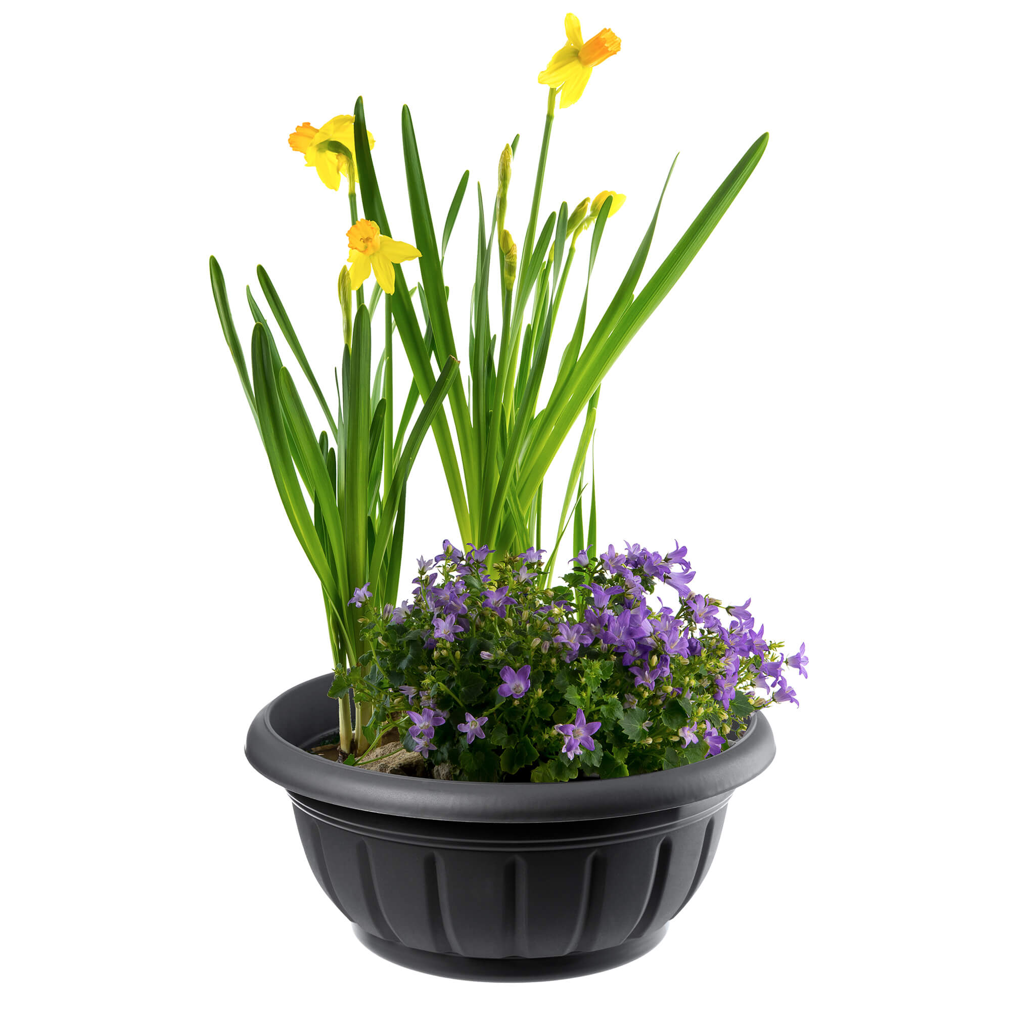 Misa na kwiaty Budrio 38 cm, antracyt