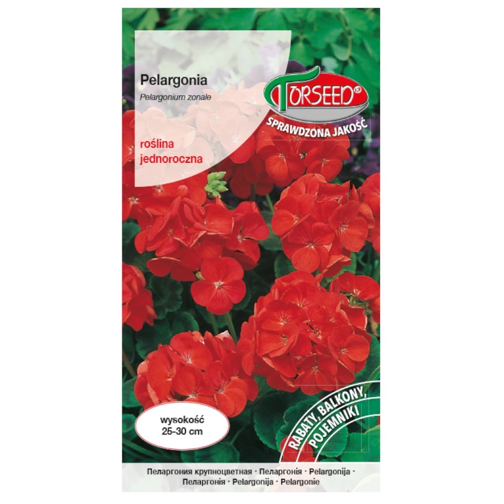 Pelargonia - Pelargonium czerwona F2 nasiona 10 szt.