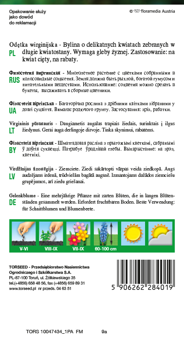 Odętka wirginijska - Physostegia virginiana mieszanka 0,1g