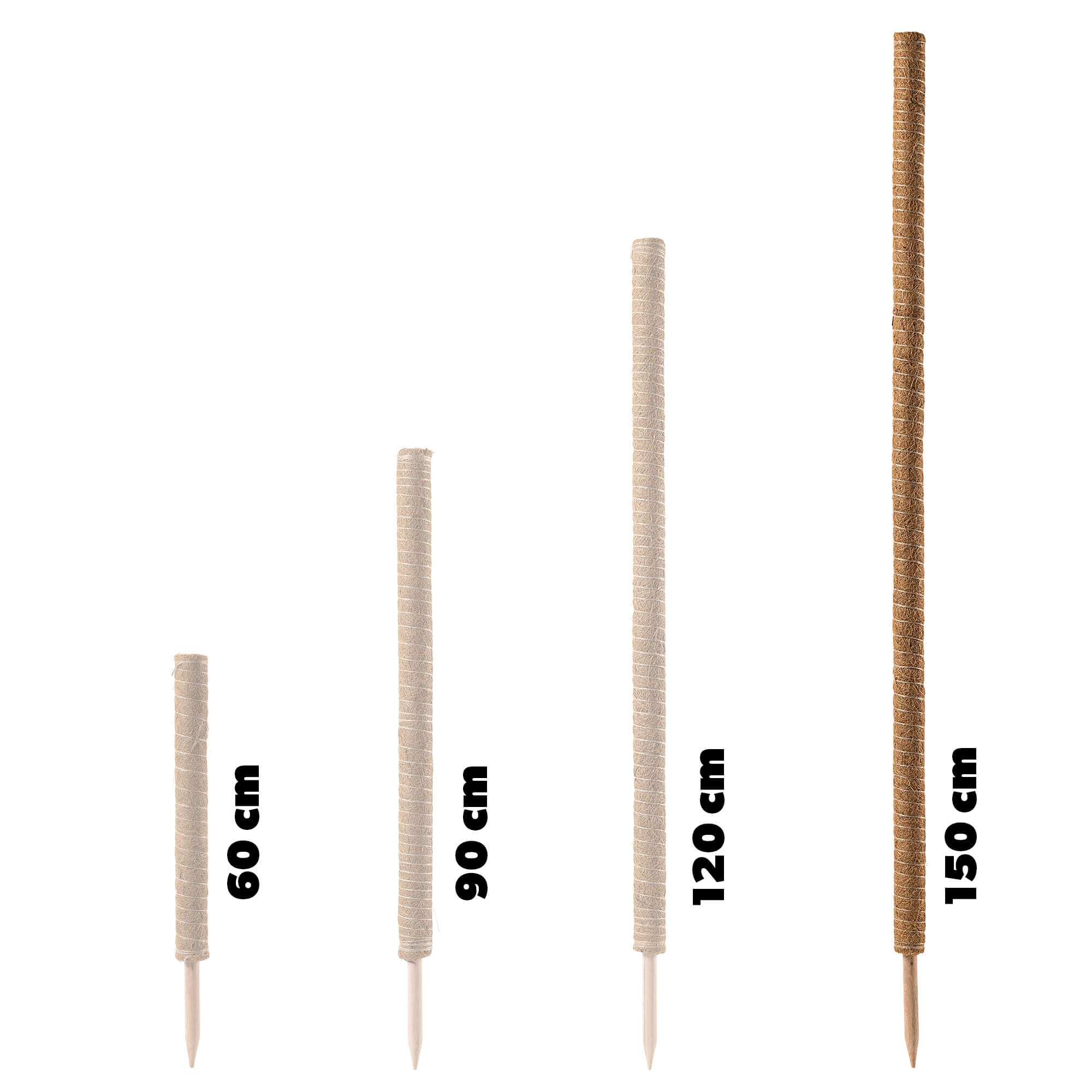 Tyczka do roślin kokosowa Cande 150 cm podpora doniczkowa 4 szt.