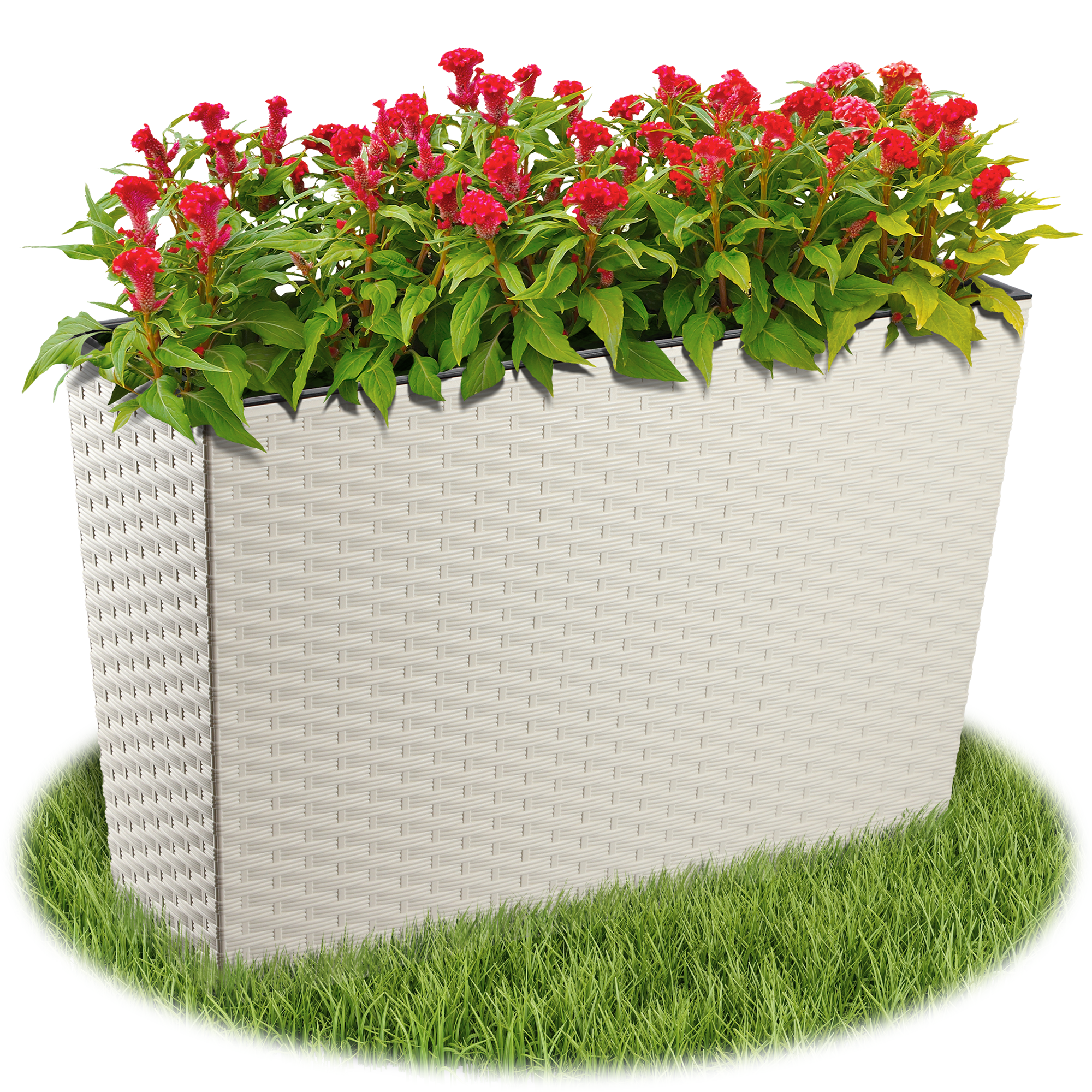 Donica ogrodowa Sorbo rattan 56 x 19 cm, kremowa