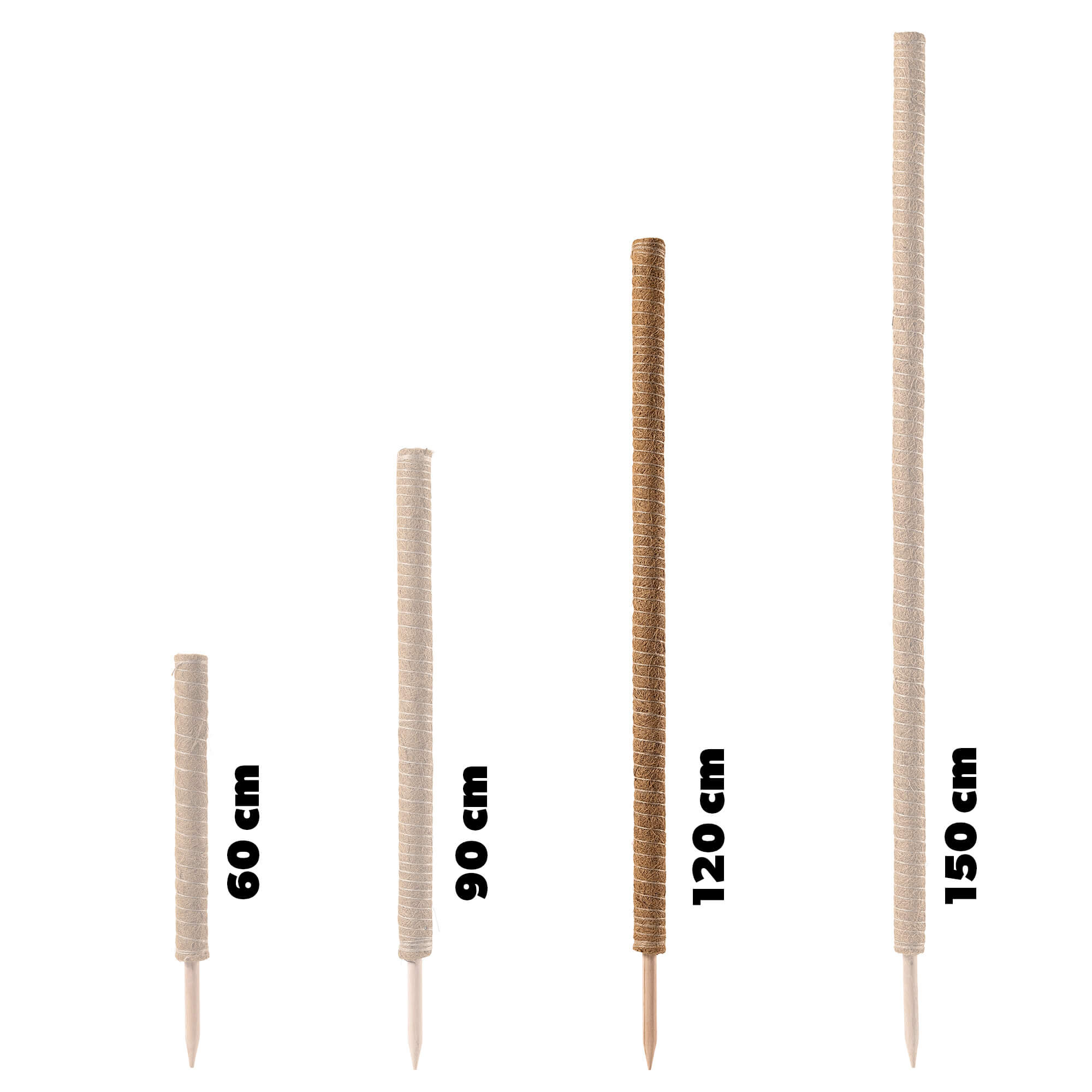 Tyczka do roślin kokosowa Cande 120 cm podpora doniczkowa 3 szt.