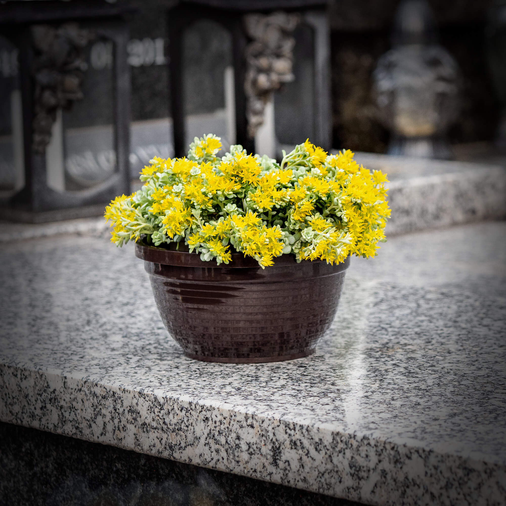 Misa cmentarna na kwiaty Verna 18 x 9 cm, brązowa