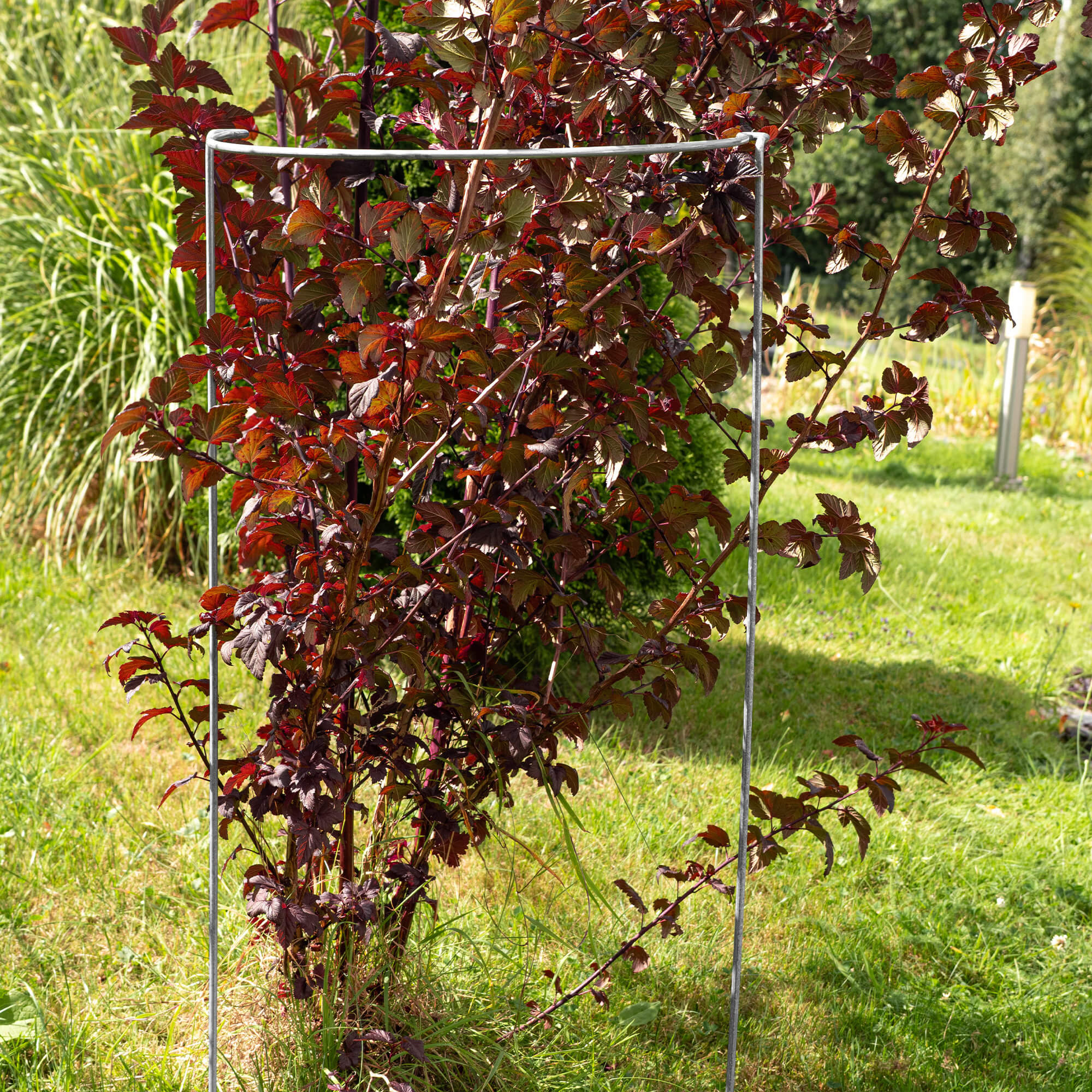 Podpora do roślin metalowa 100 x 41 cm