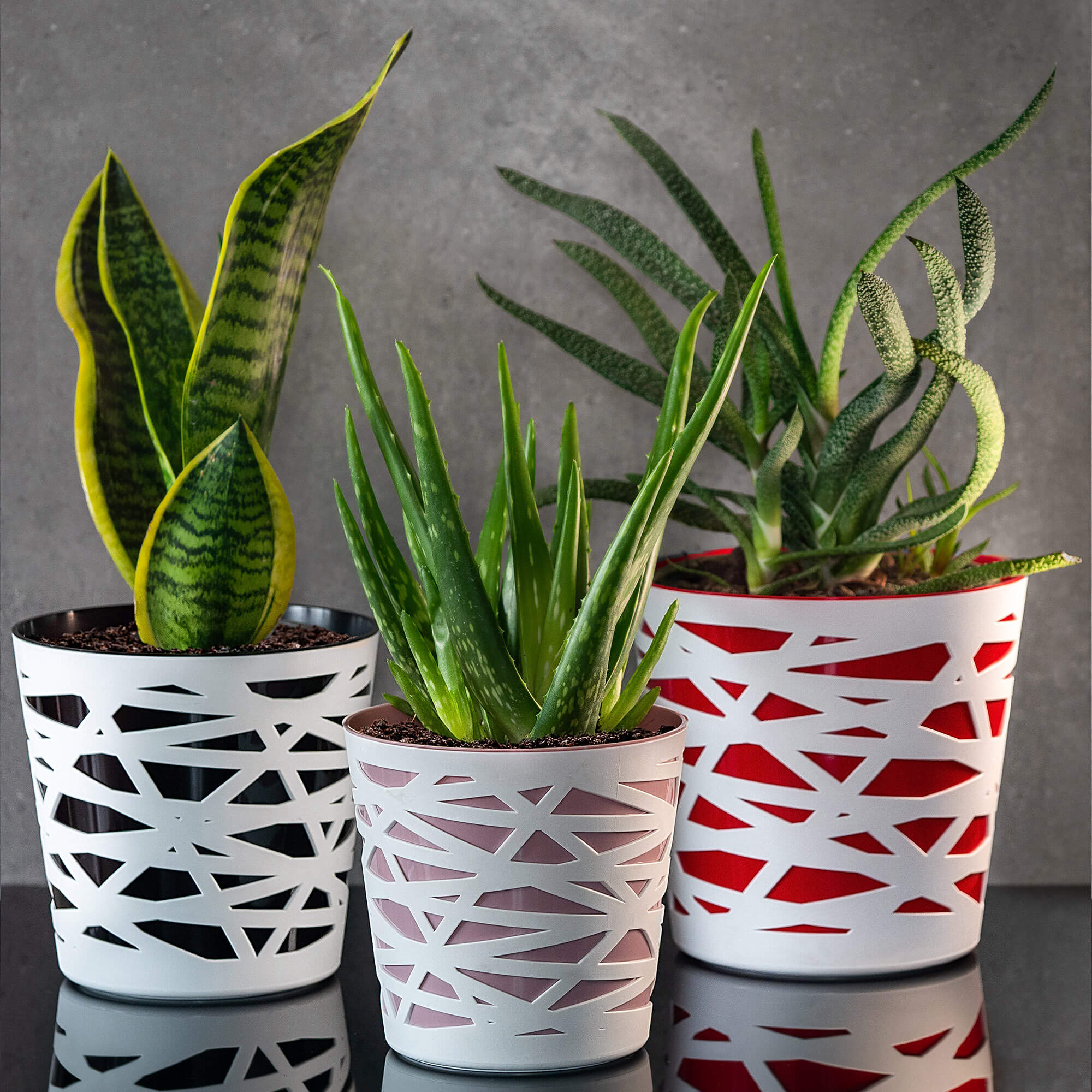 Doniczka z wkładem Rusio 19 cm, różowa
