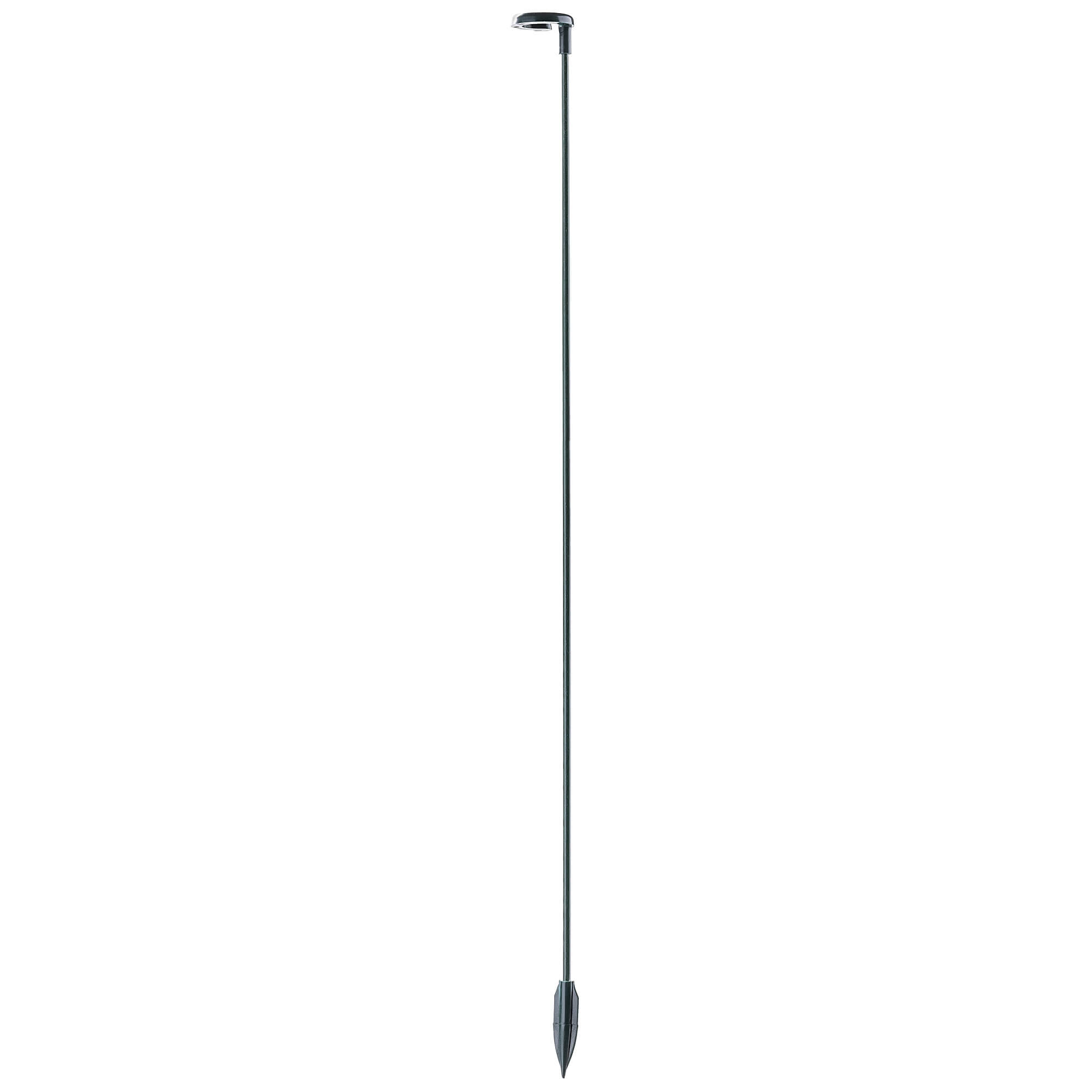 Podpora do roślin Condat 38 cm zielona 20 szt.