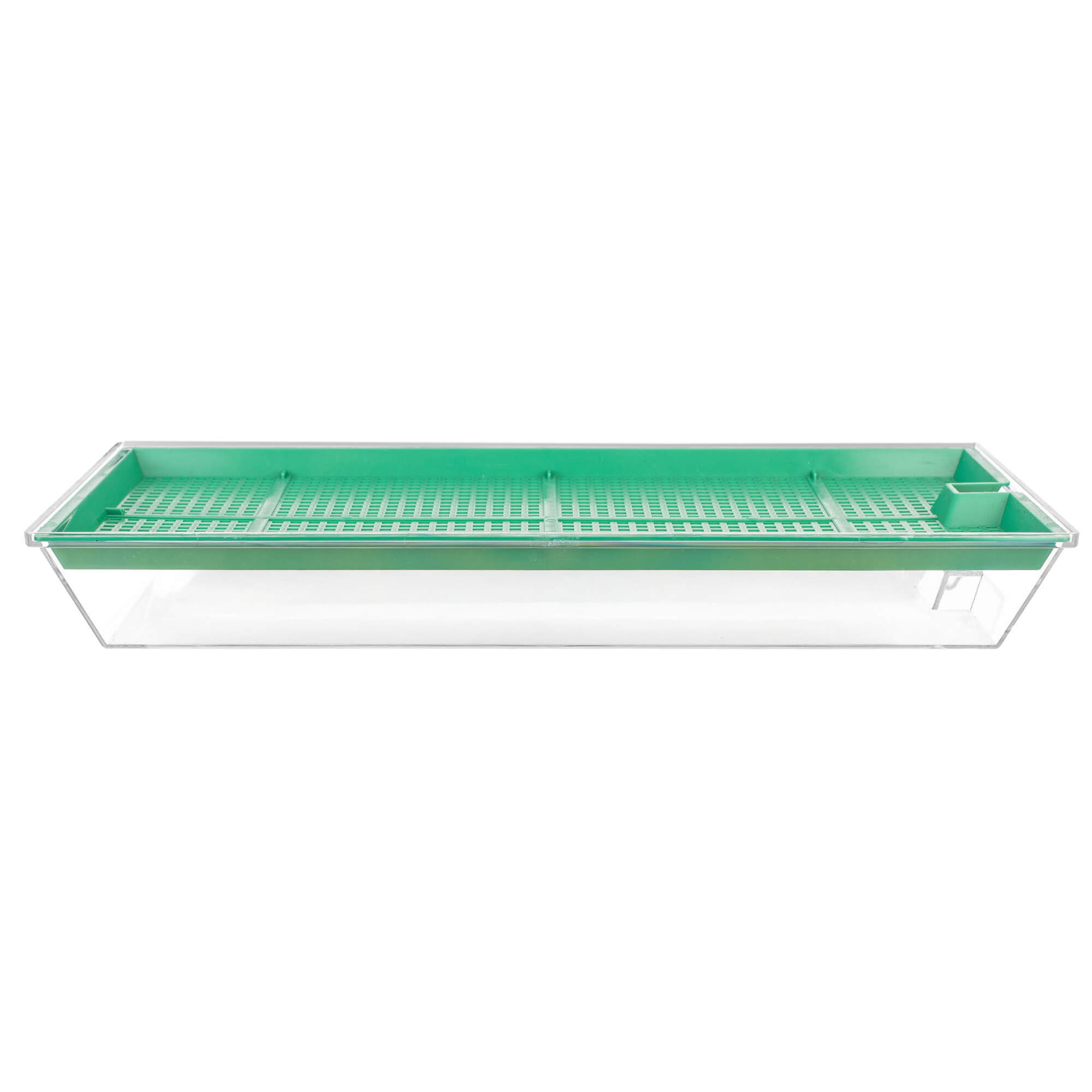 Kiełkownica Clion duża 27 x 15 cm zielona