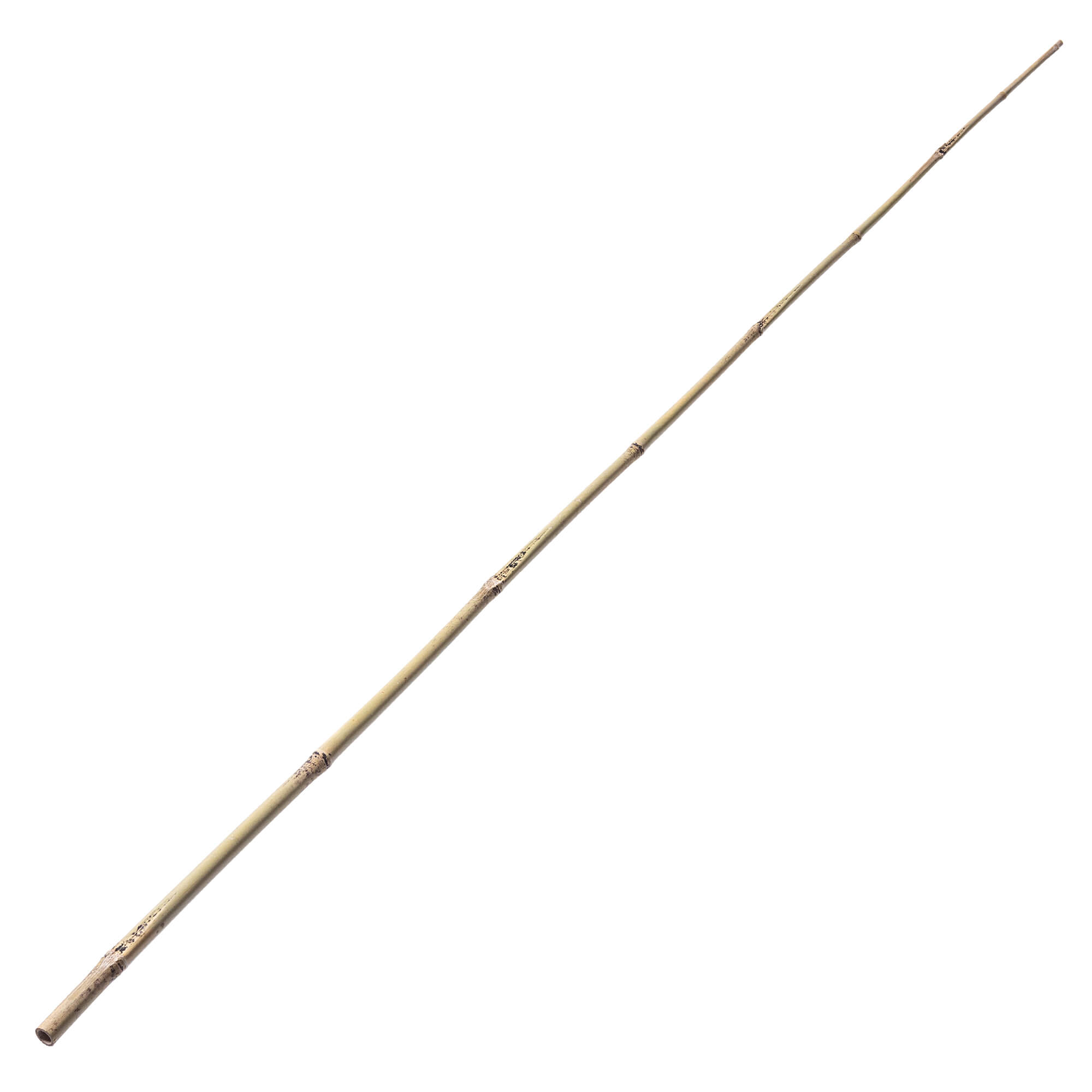 Bambusowa podpora ogrodowa Rai 180 cm x 12-14 mm 25 szt.