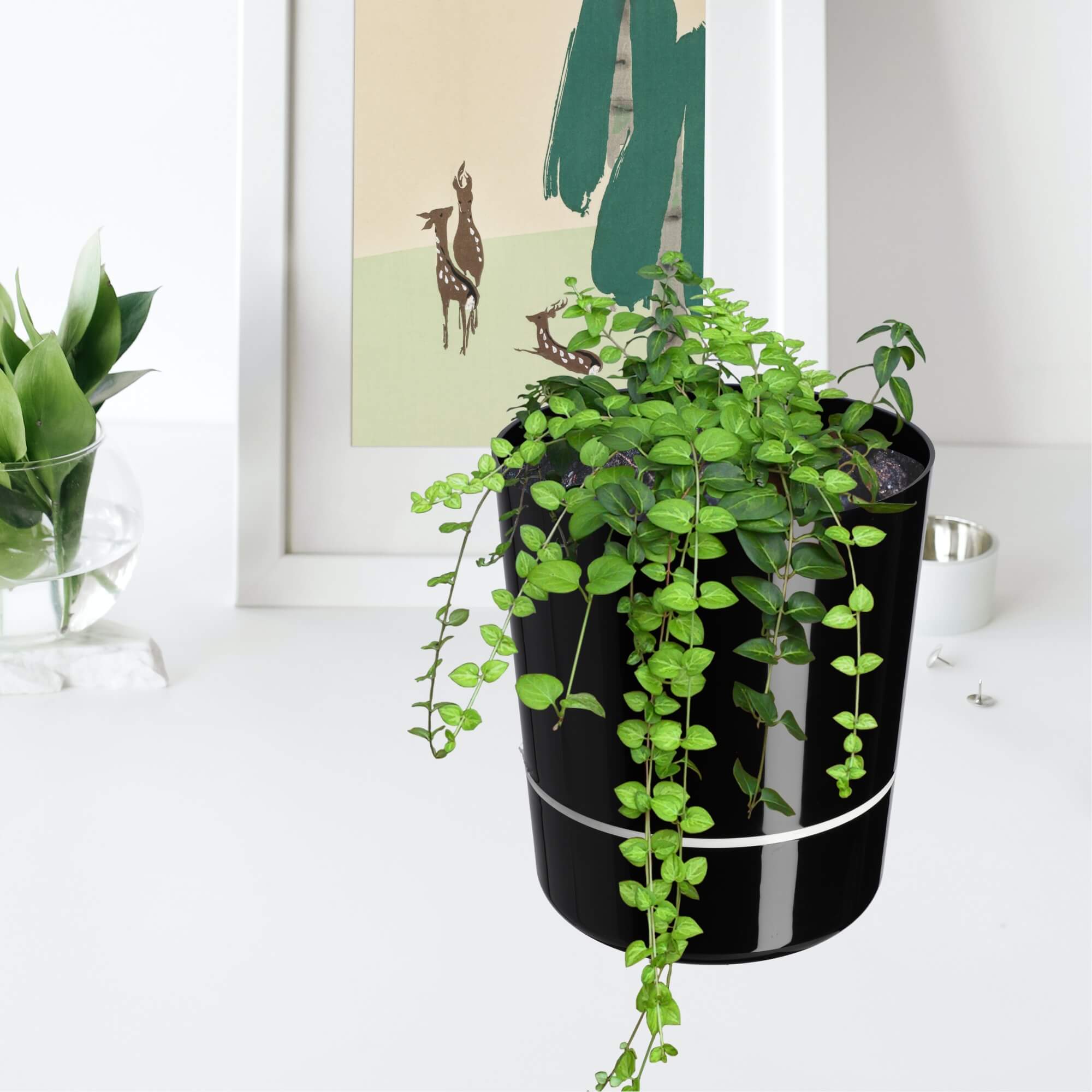 Doniczka na kwiaty okrągła Chisa 25 cm, czarna