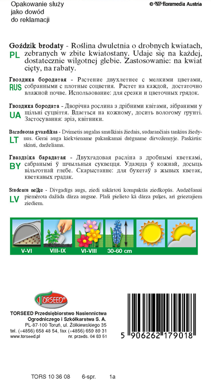Goździk brodaty - Dianthus barbatus wysoki, pełny - mieszanka 0,5g