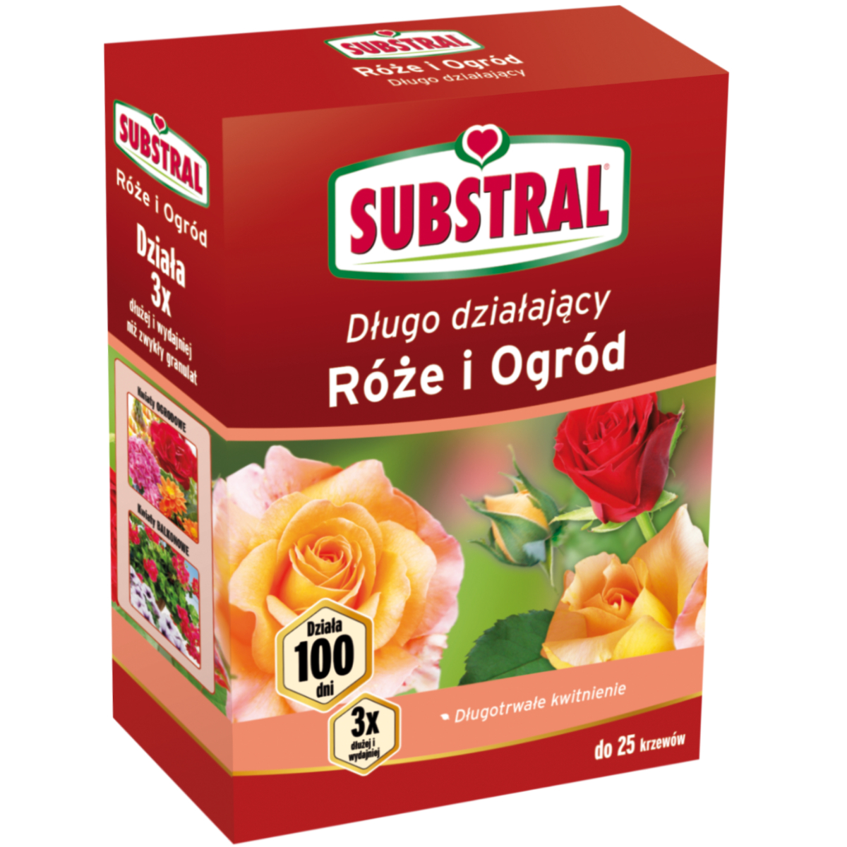 Substral Nawóz 100 dni do róż 1 kg