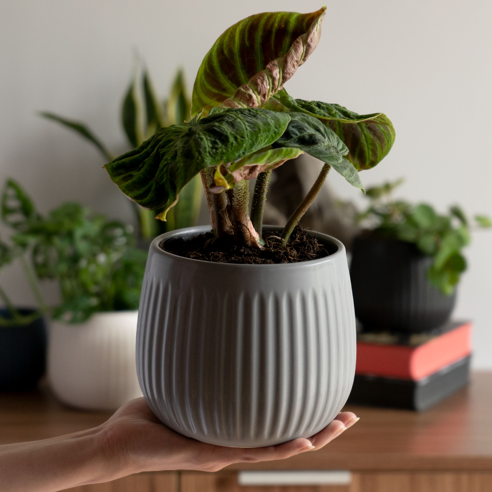 Osłonka ceramiczna Vario 14 cm, szara