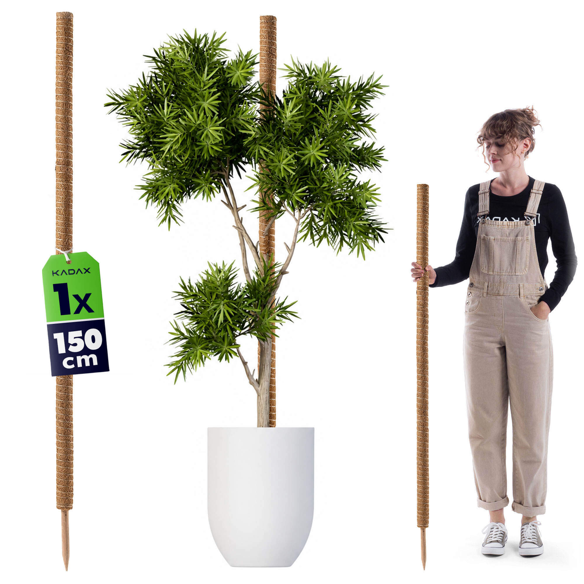 Tyczka do roślin kokosowa Cande 150 cm podpora doniczkowa 1 szt.