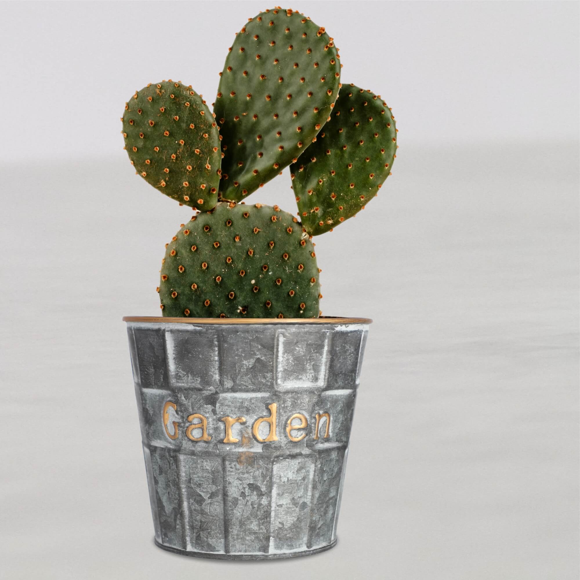 Doniczka na kwiaty okrągła 12 cm, szara