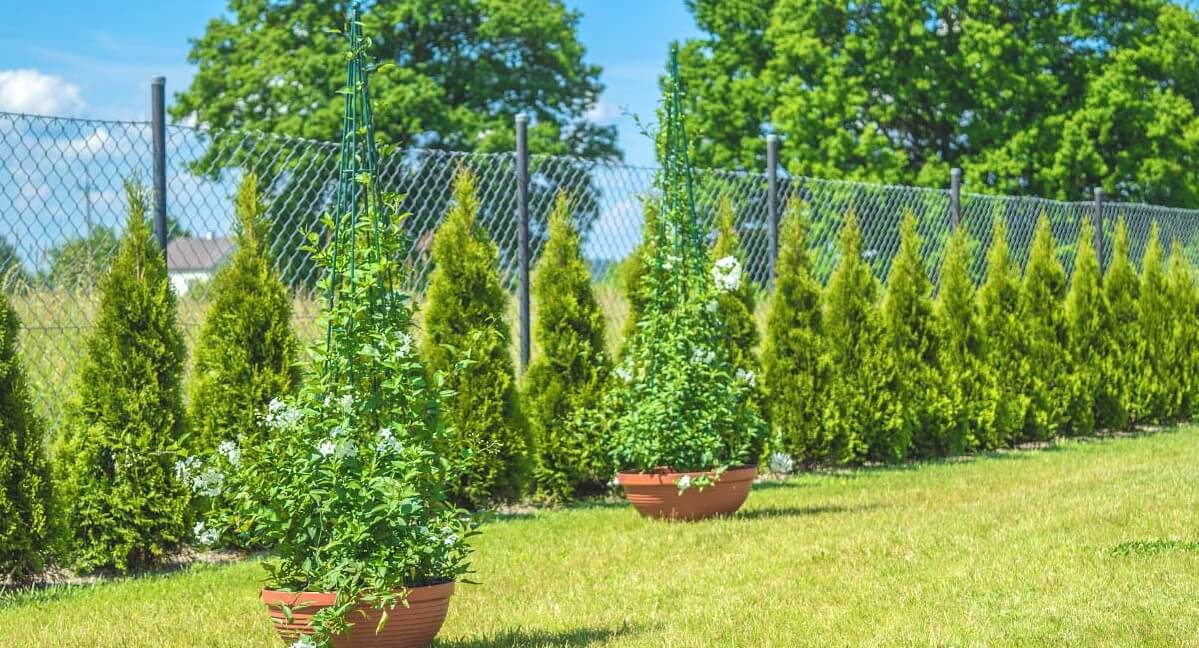 Stożek ogrodowy do roślin stalowy 150 cm