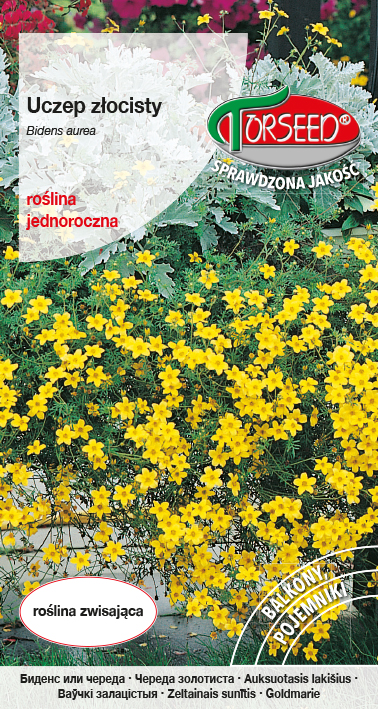 Uczep złocisty - Bidens aurea żółty 0,2g