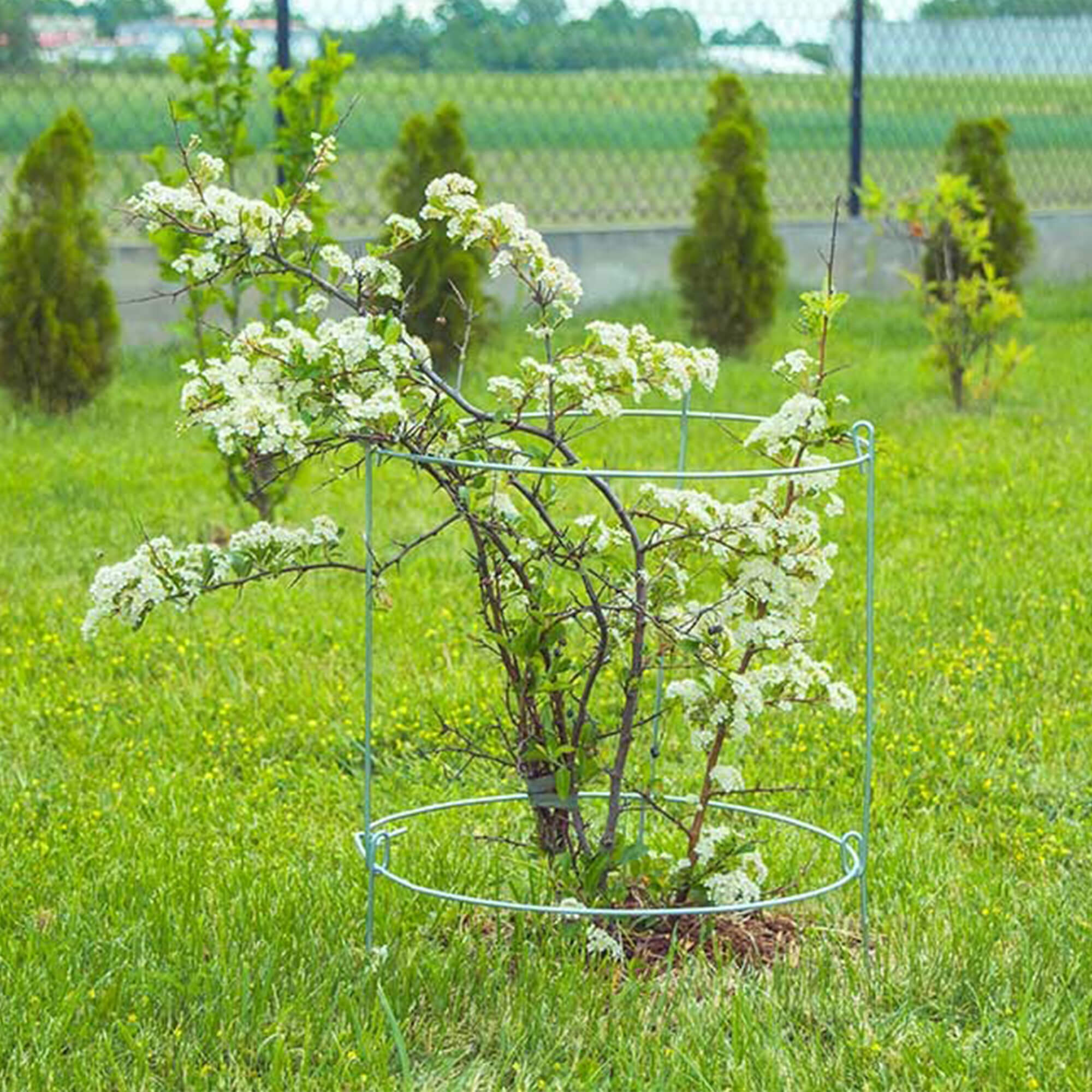 Podpora ogrodowa Moie do roślin 90 x 36 cm, 2 szt.