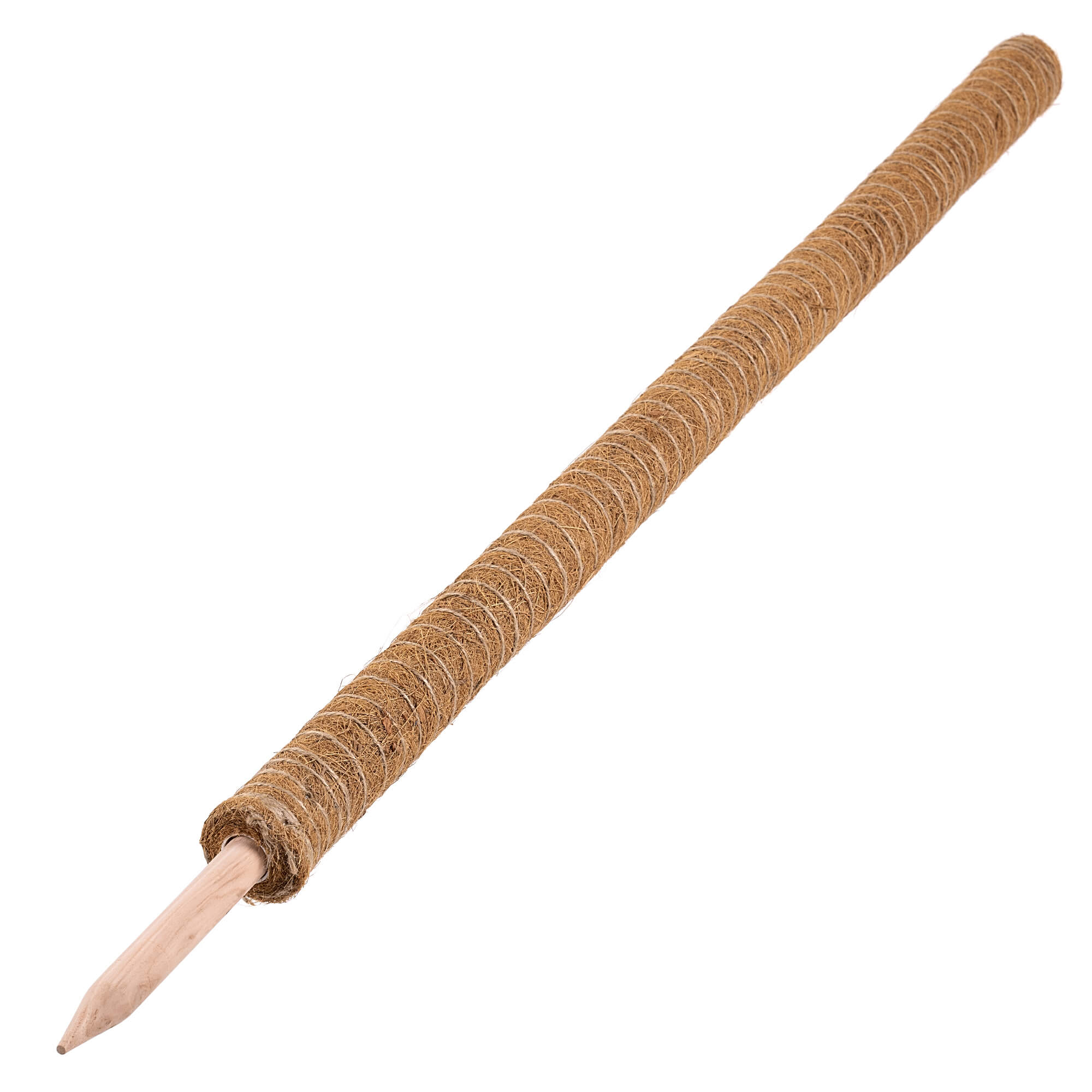 Tyczka do roślin kokosowa Cande 120 cm podpora doniczkowa 3 szt.