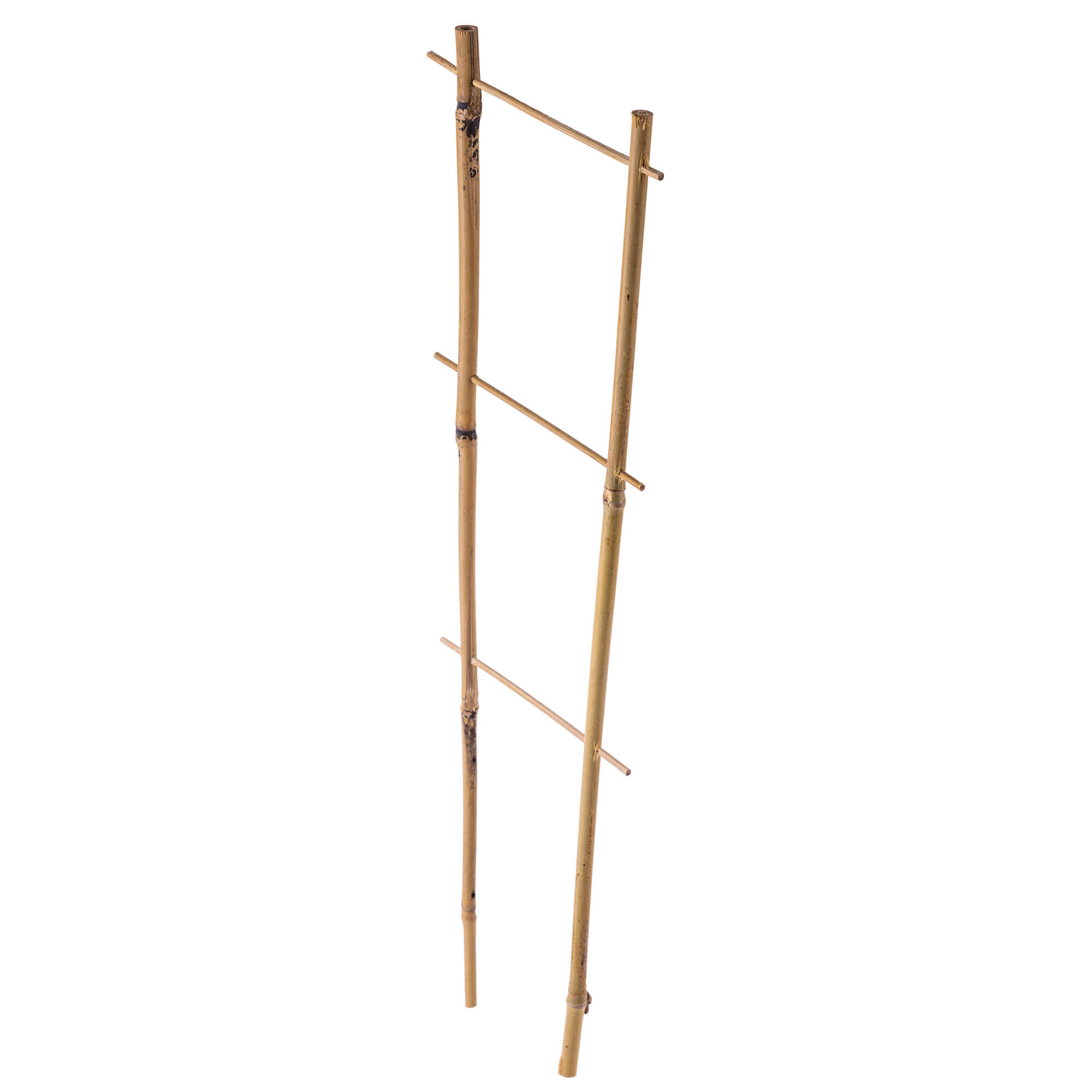 Drabinka bambusowa do roślin Taio 45 cm 10 szt.