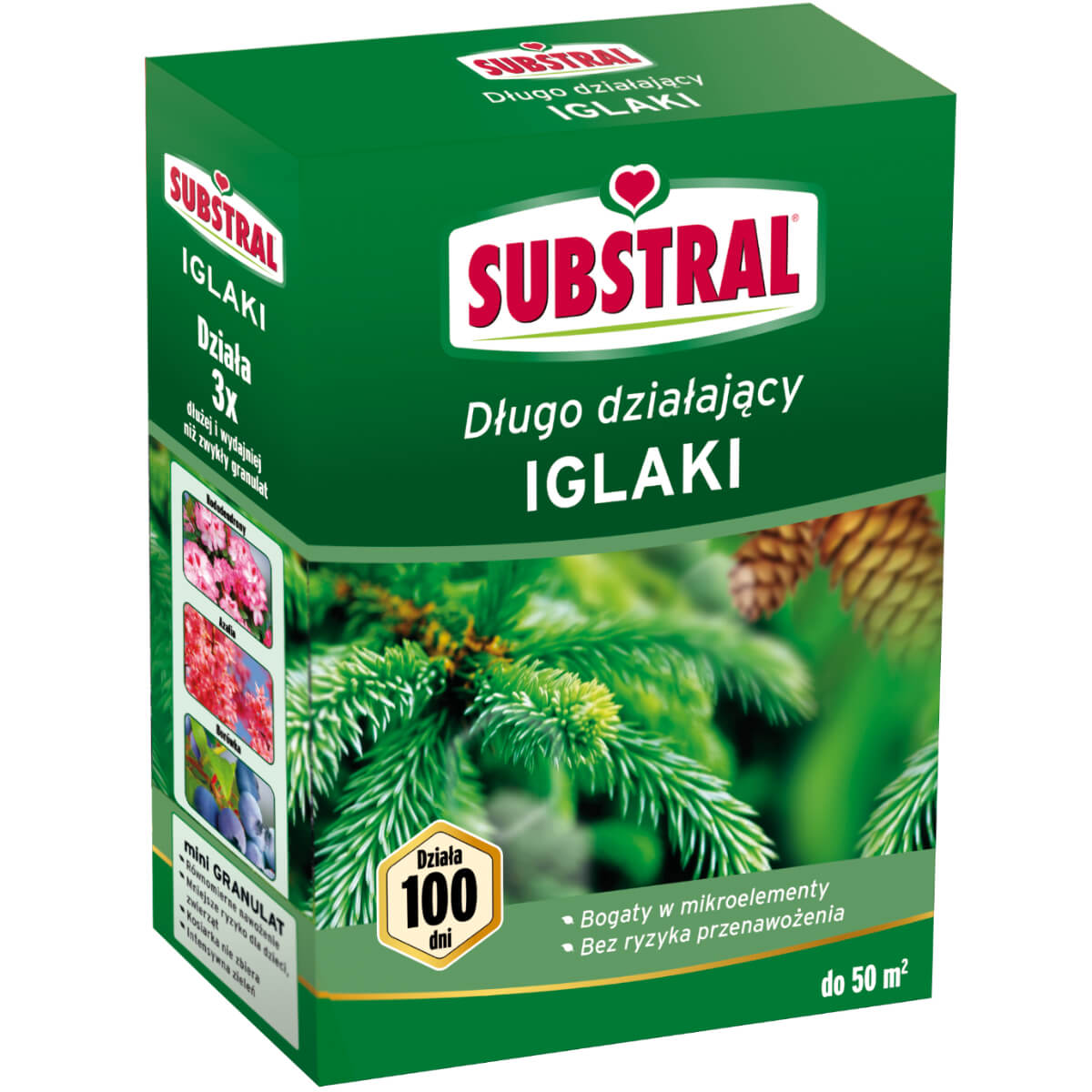 Substral Nawóz 100 dni do iglaków 1 kg