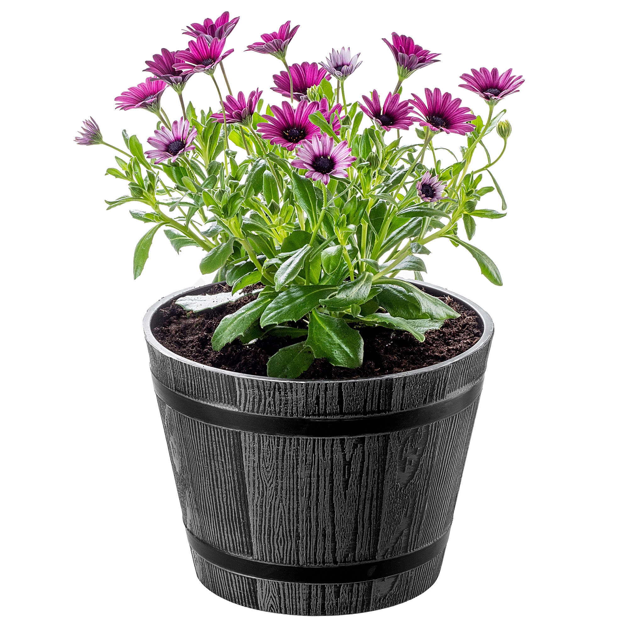 Donica na kwiaty Sori 23 cm, ciemny szary