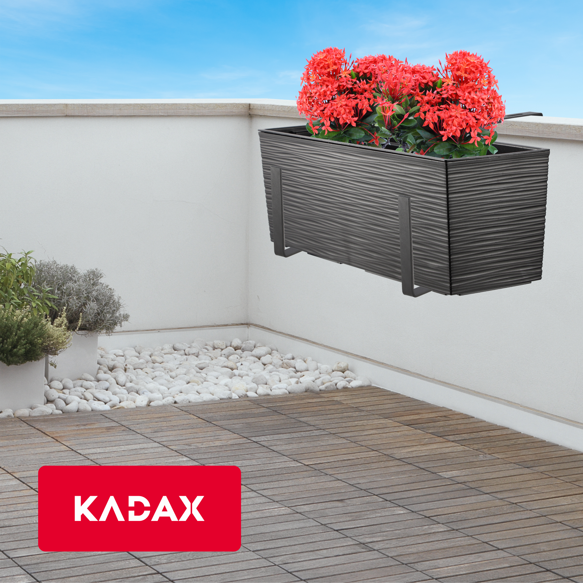 Skrzynka balkonowa z uchwytem Treviso 56 x 19 cm, czarna