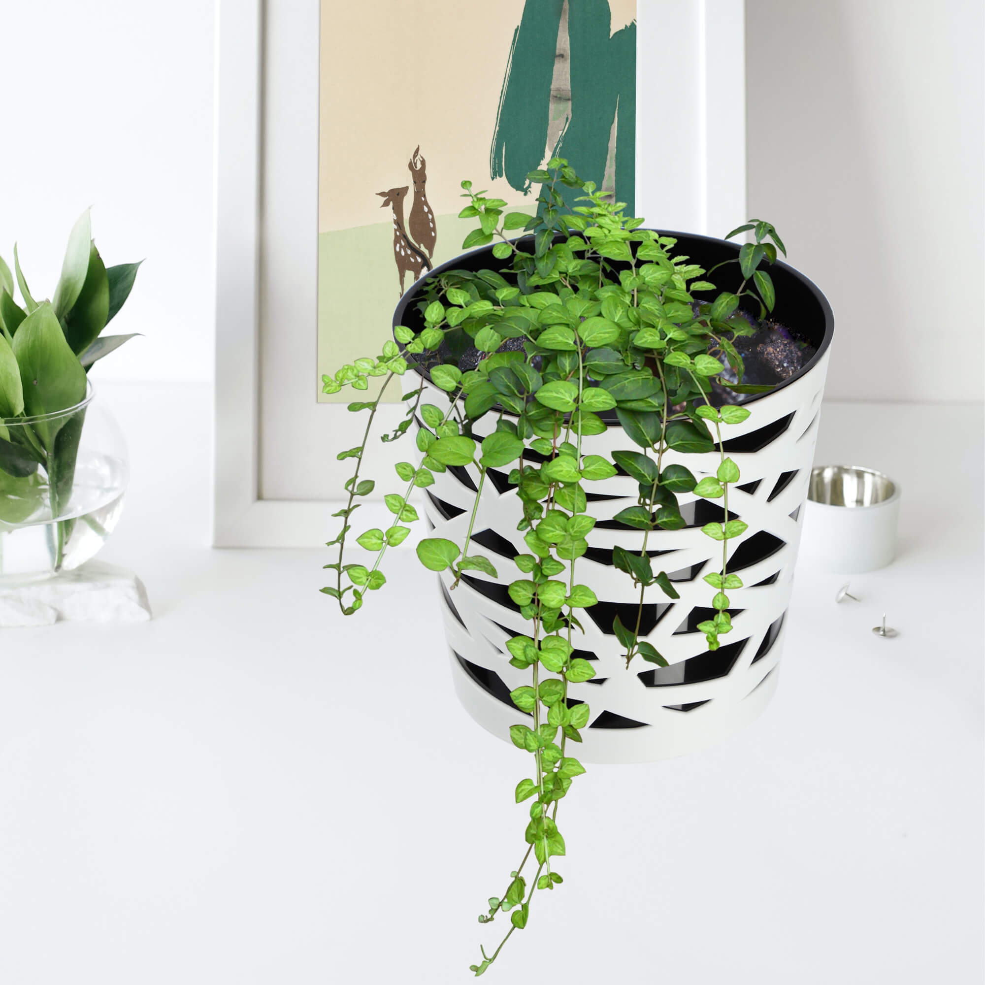Doniczka z wkładem Rusio 13 cm, czarna