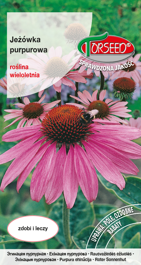 Jeżówka purpurowa Echinacea purpurea 0,2g