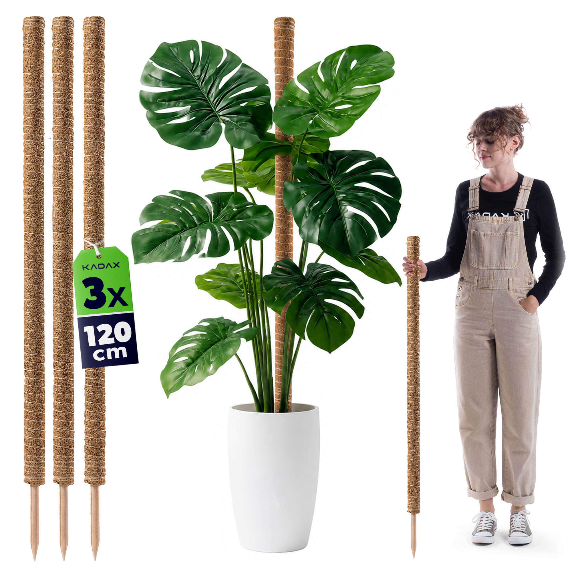 Tyczka do roślin kokosowa Cande 120 cm podpora doniczkowa 3 szt.