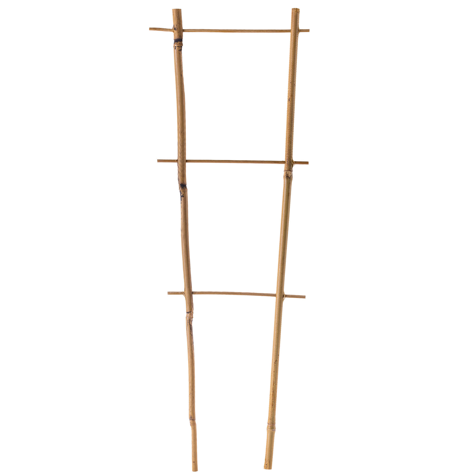 Drabinka bambusowa do roślin Taio 45 cm 10 szt.