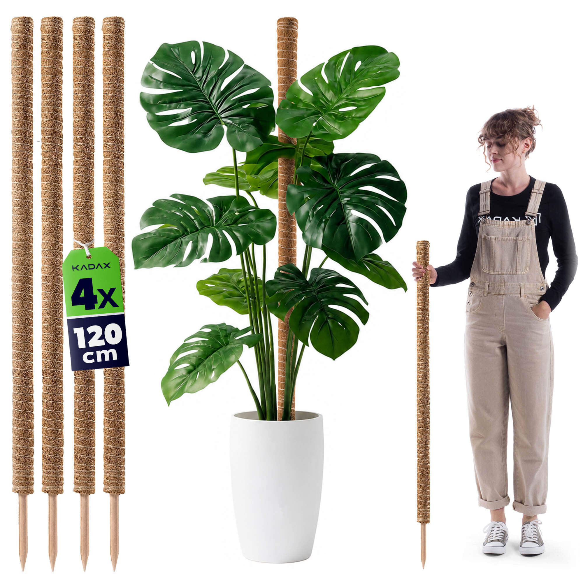Tyczka do roślin kokosowa Cande 120 cm podpora doniczkowa 4 szt.