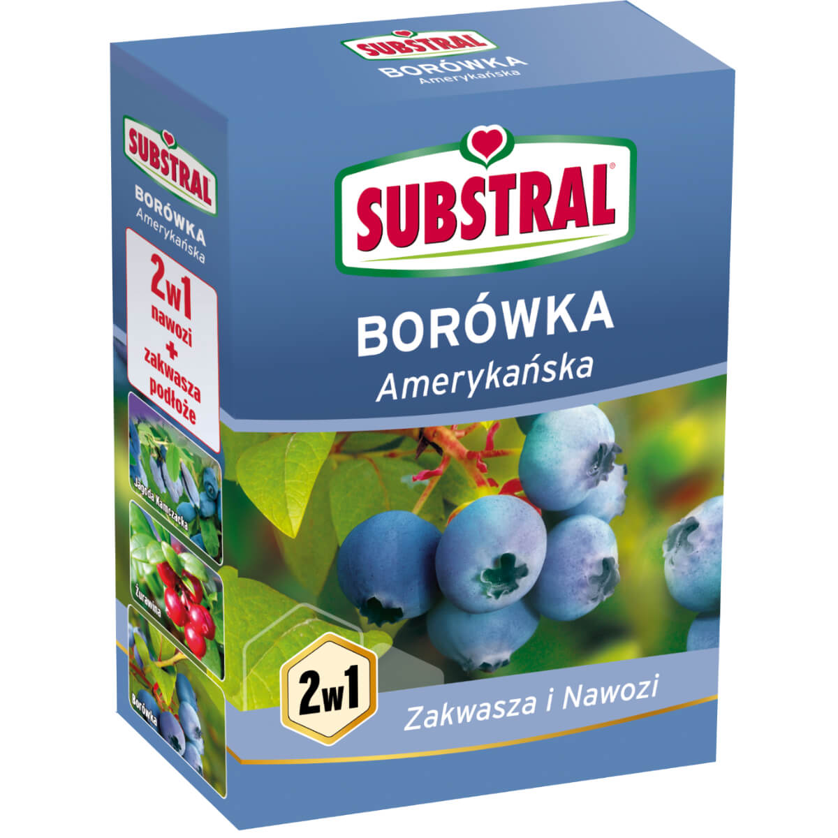 Substral Nawóz 2w1 do borówki amerykańskiej 1 kg
