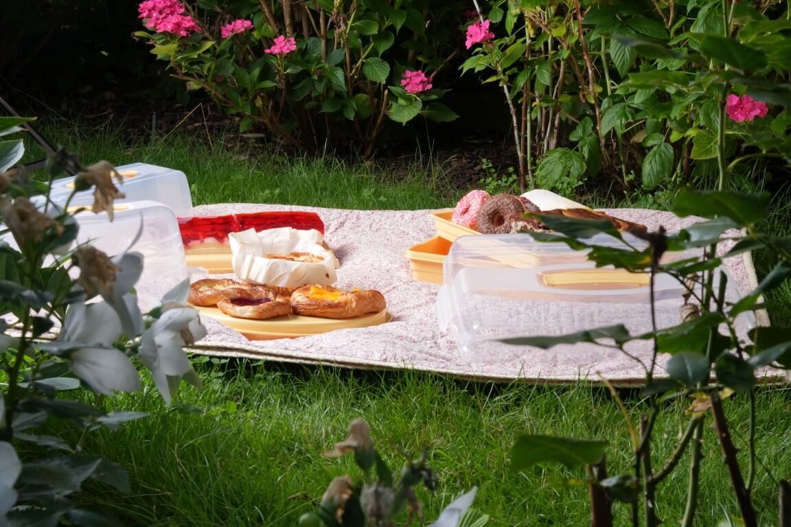 Zestaw kempingowy Curver Camping Set zielony