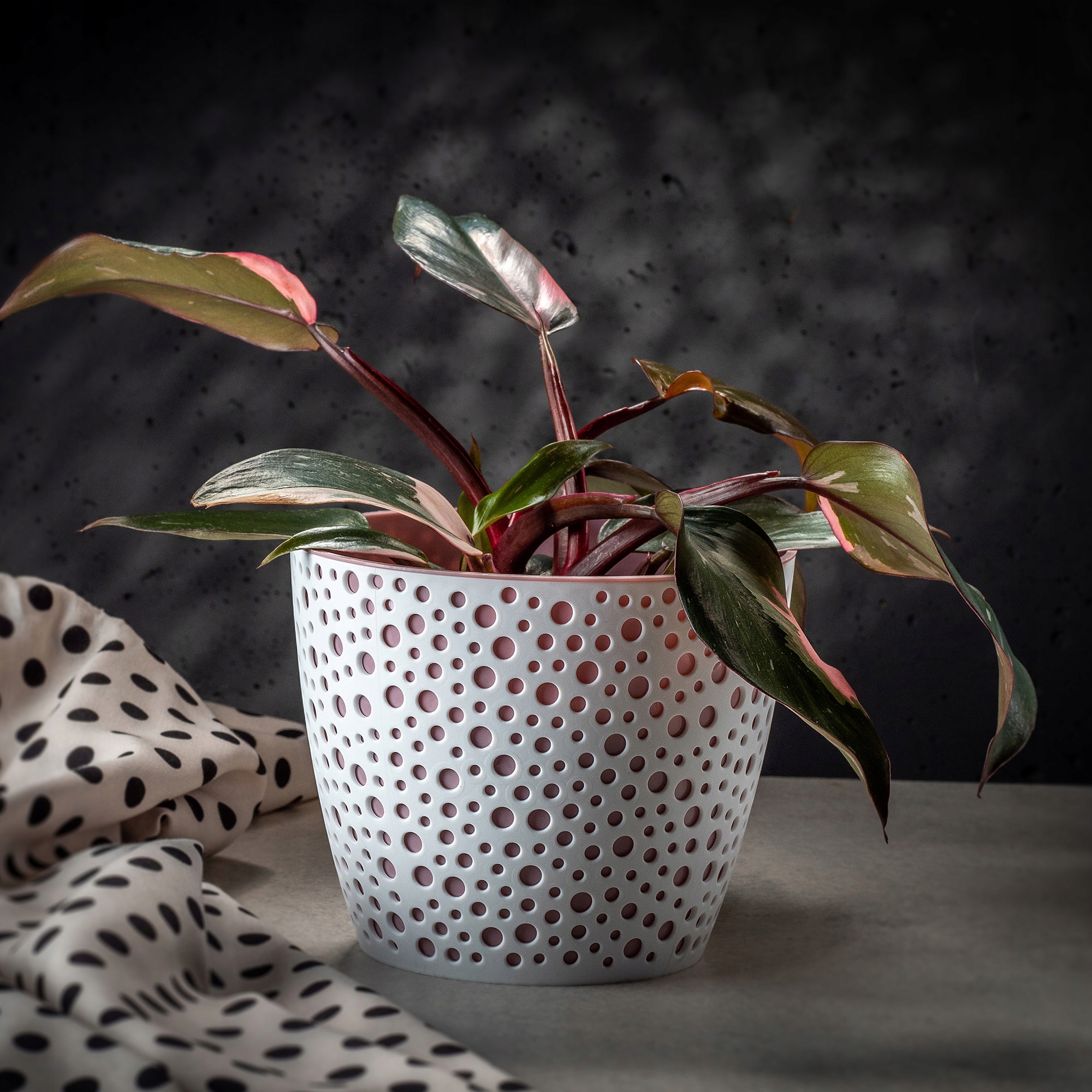 Doniczka na kwiaty Casini 11 cm, różowa