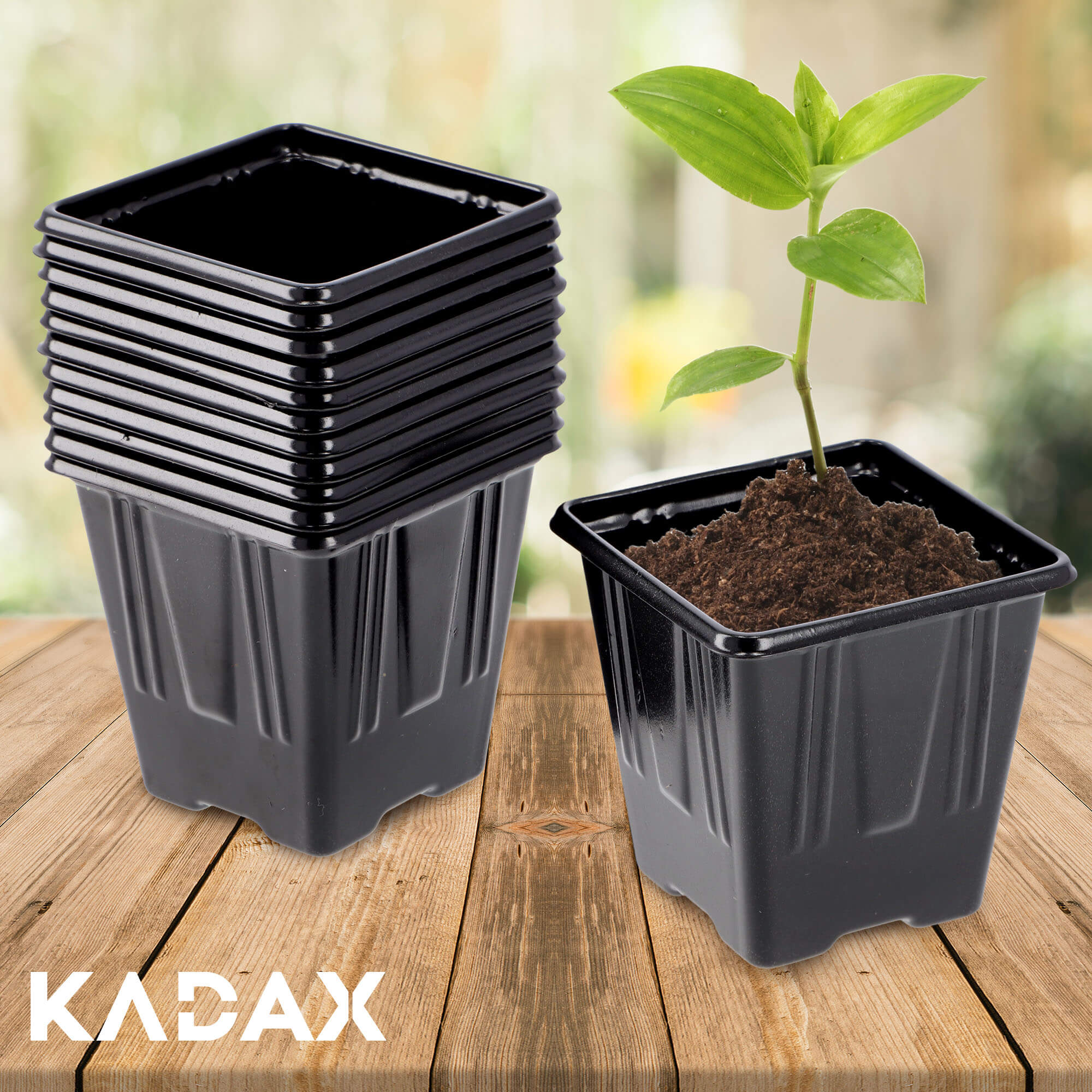 Doniczki rozsadowe kwadratowe Corse 7 cm, 12 szt.