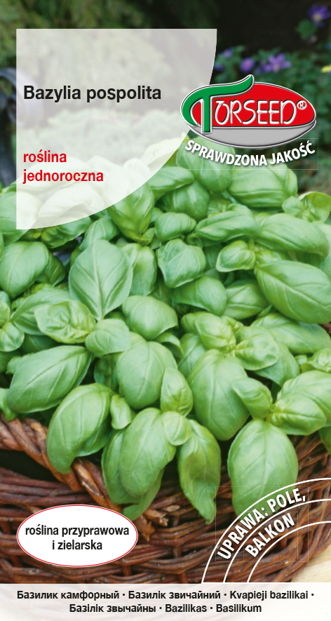 Bazylia zielona Ocinum basilicum 0,5g
