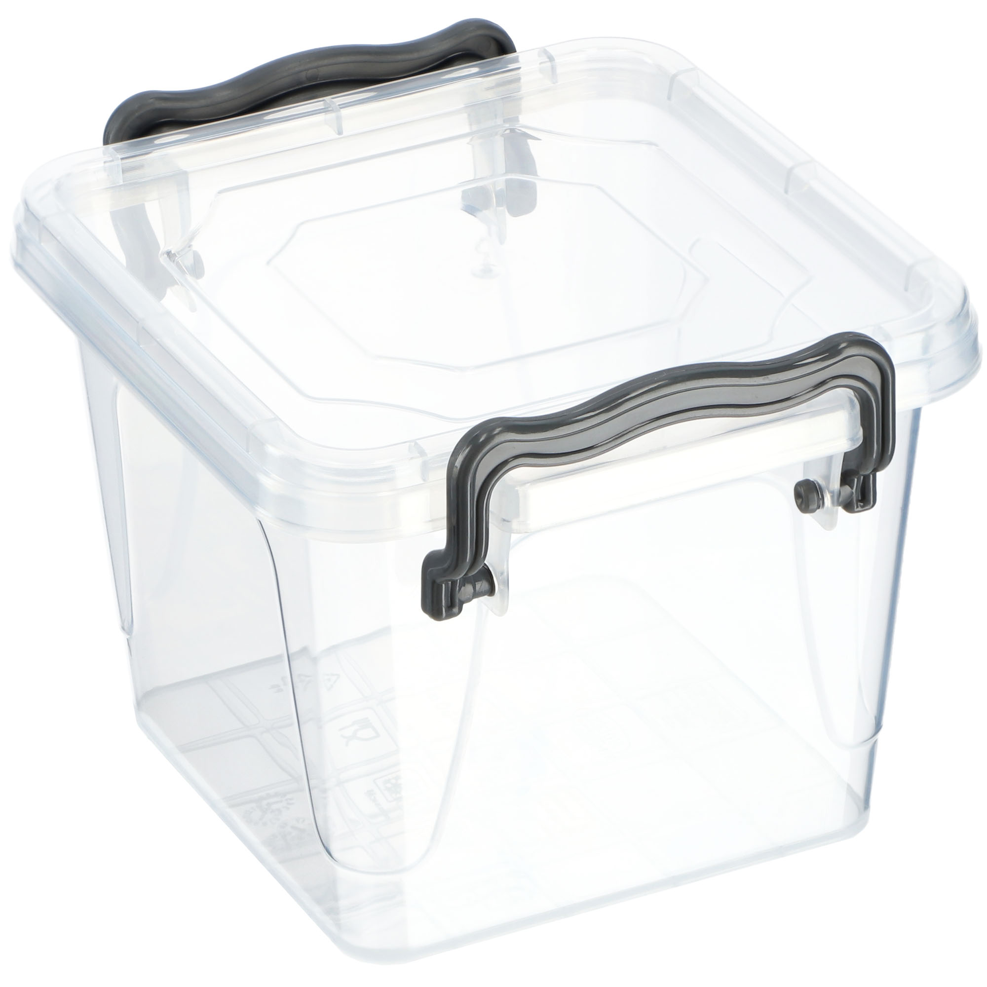 Pojemnik na żywność Multi box, 0,55L