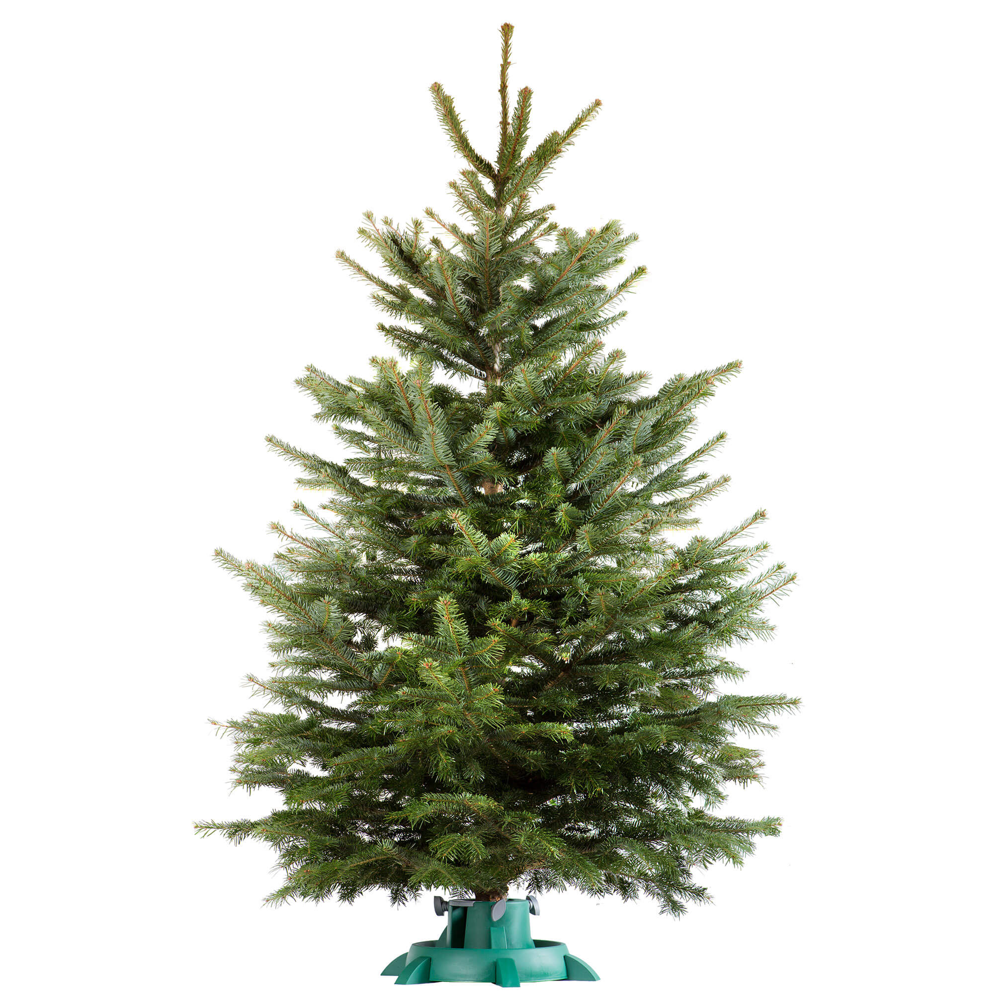 Stojak na choinkę 48cm zielony