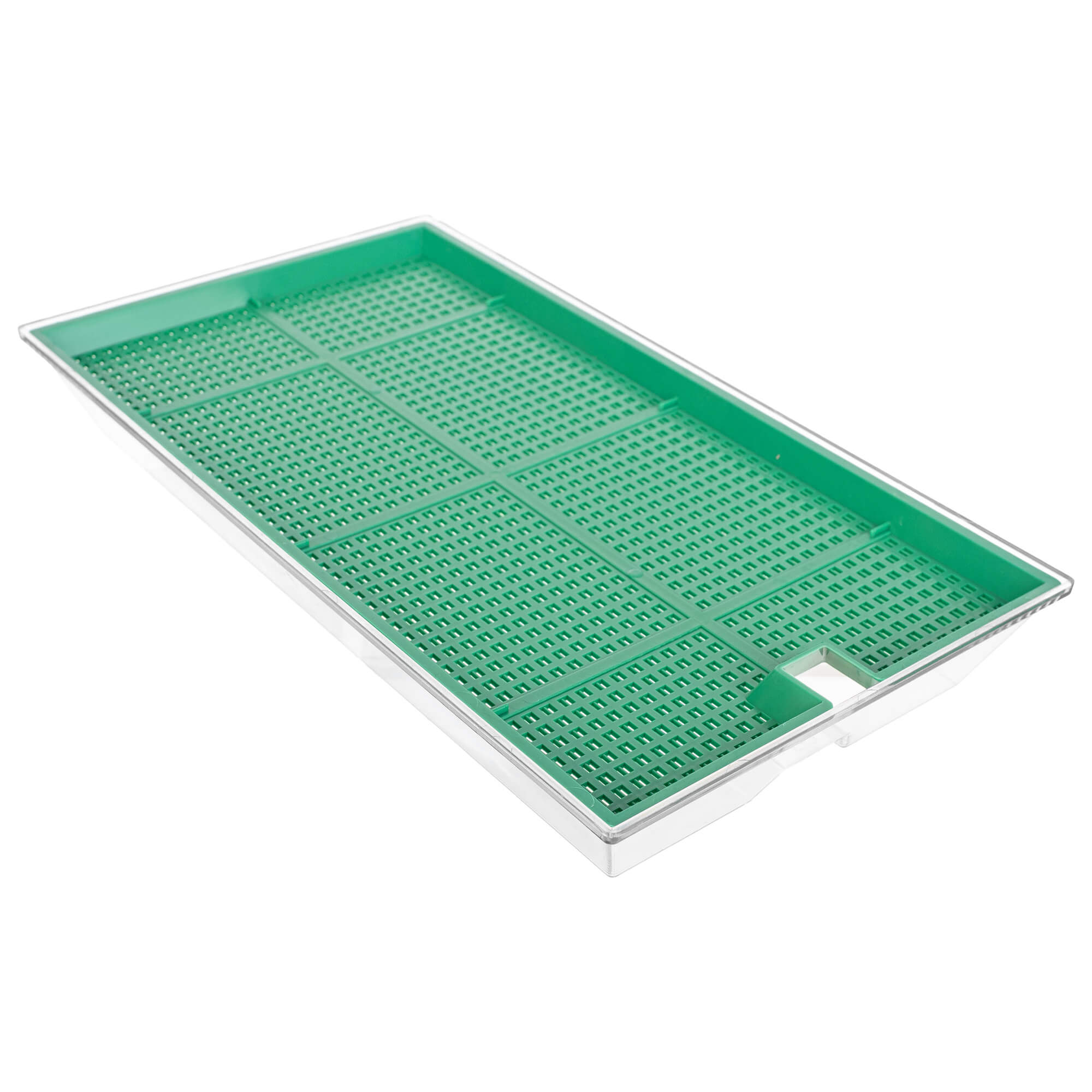 Kiełkownica Clion duża 27 x 15 cm zielona