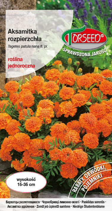 Aksamitka rozpierzchła (niska) - Tagetes patula nana fl.pl. pomarańczowa 1g