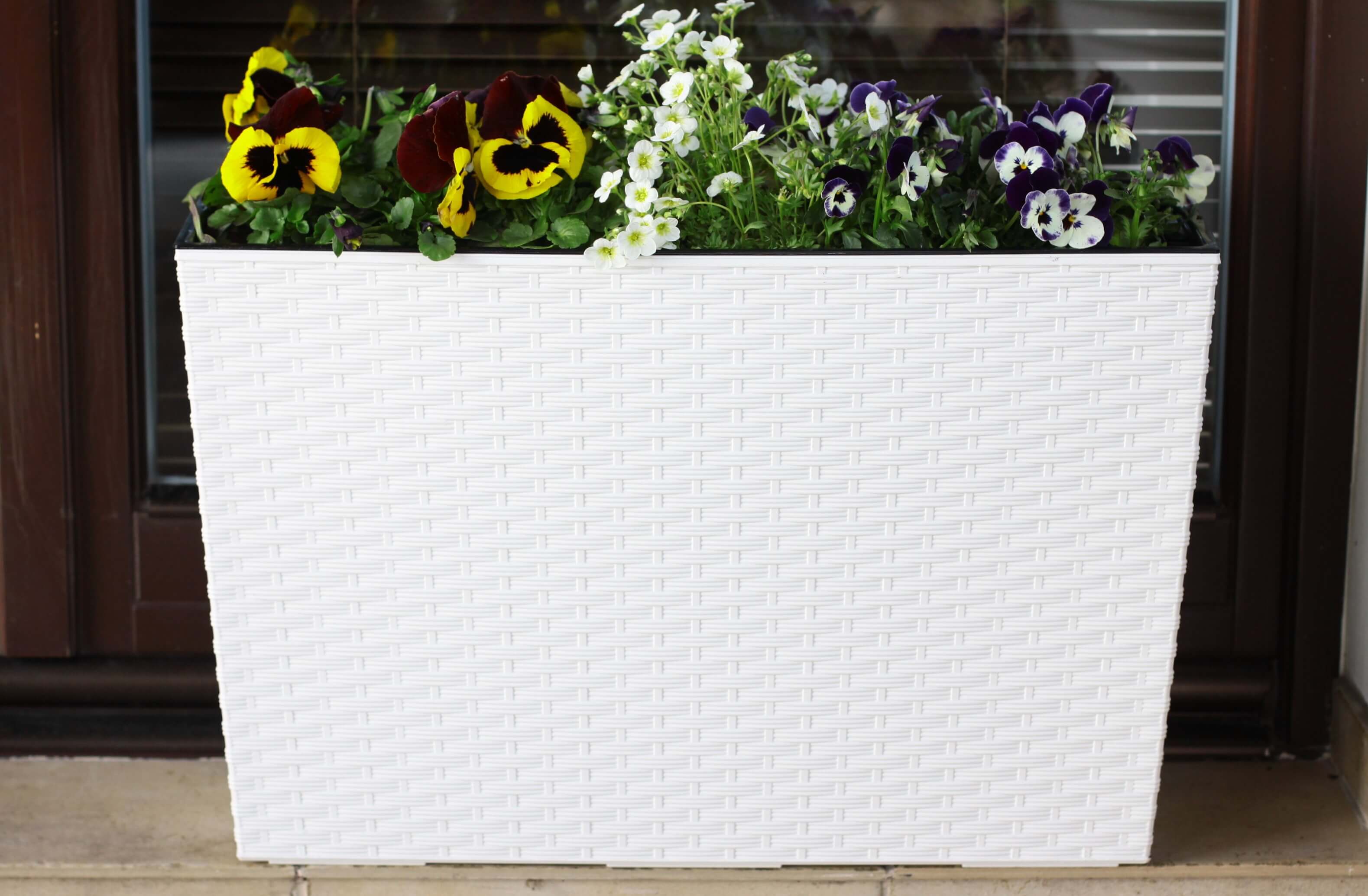 Donica ogrodowa Sorbo rattan 56 x 19 cm, kremowa