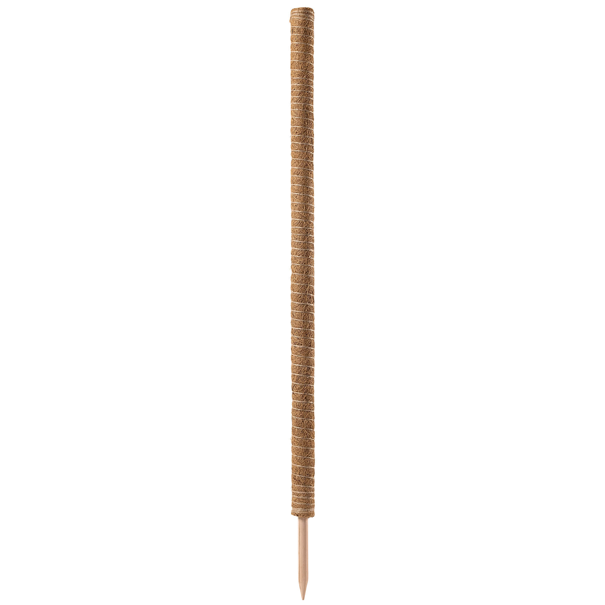 Tyczka do roślin kokosowa Cande 120 cm podpora doniczkowa 3 szt.