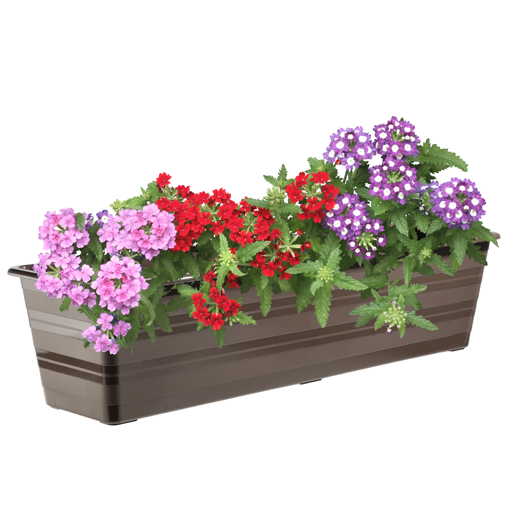 Doniczka balkonowa Catí 60cm brązowa 6szt