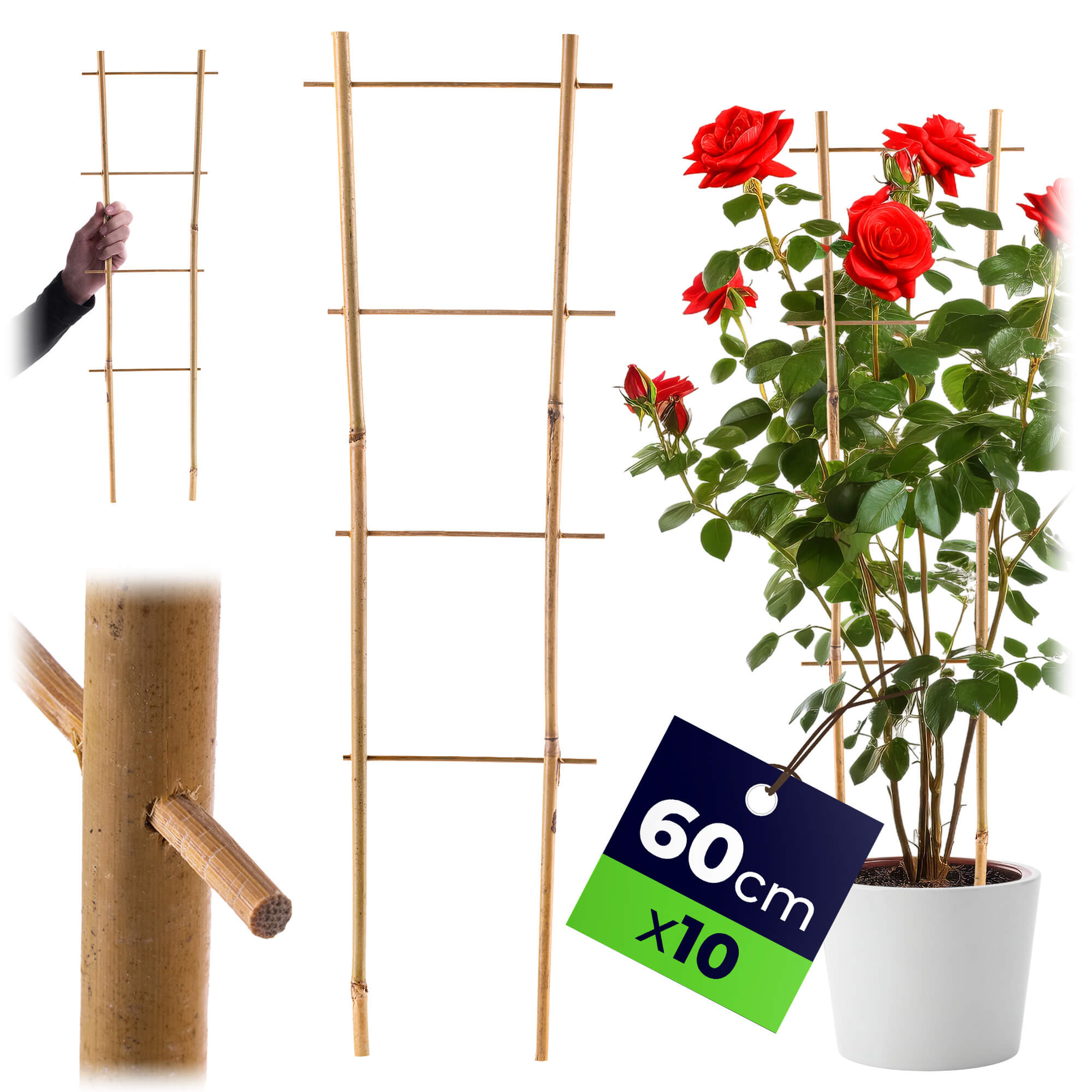 Drabinka bambusowa do roślin Taio 60 cm 10 szt.